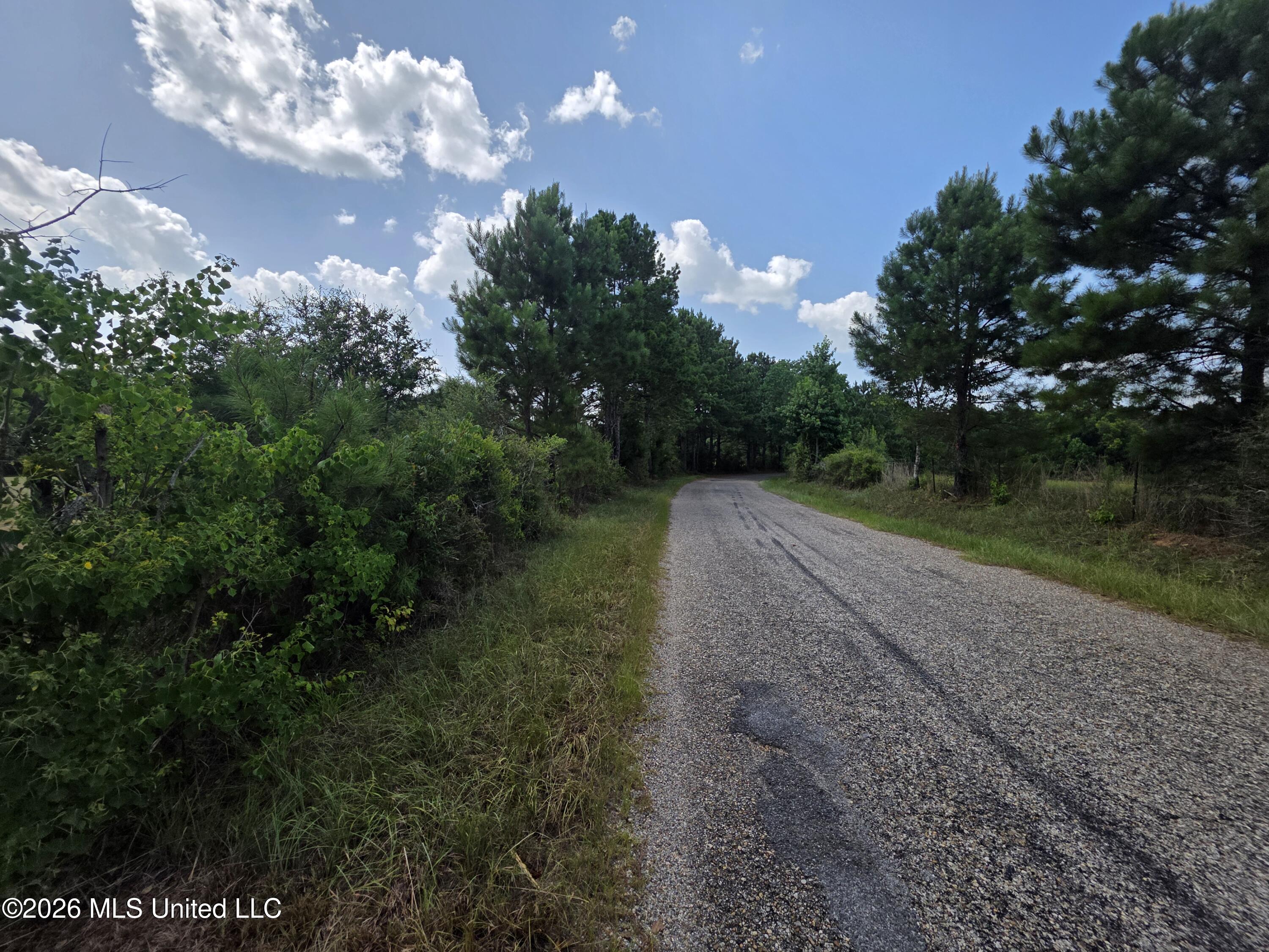 Mount Carmel Road Property Photo 25