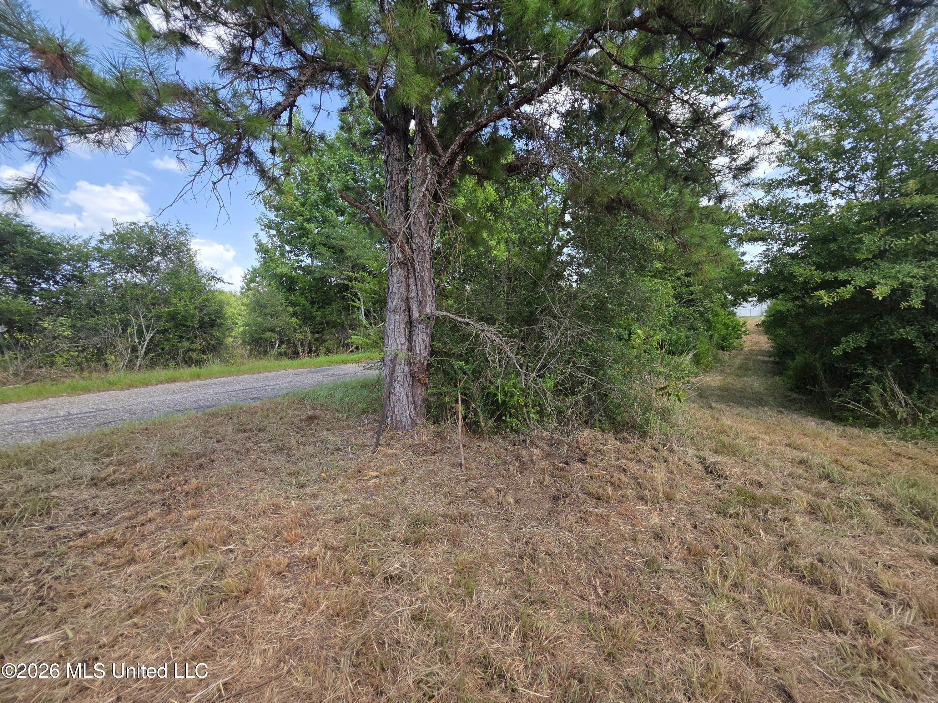 Mount Carmel Road Property Photo 26