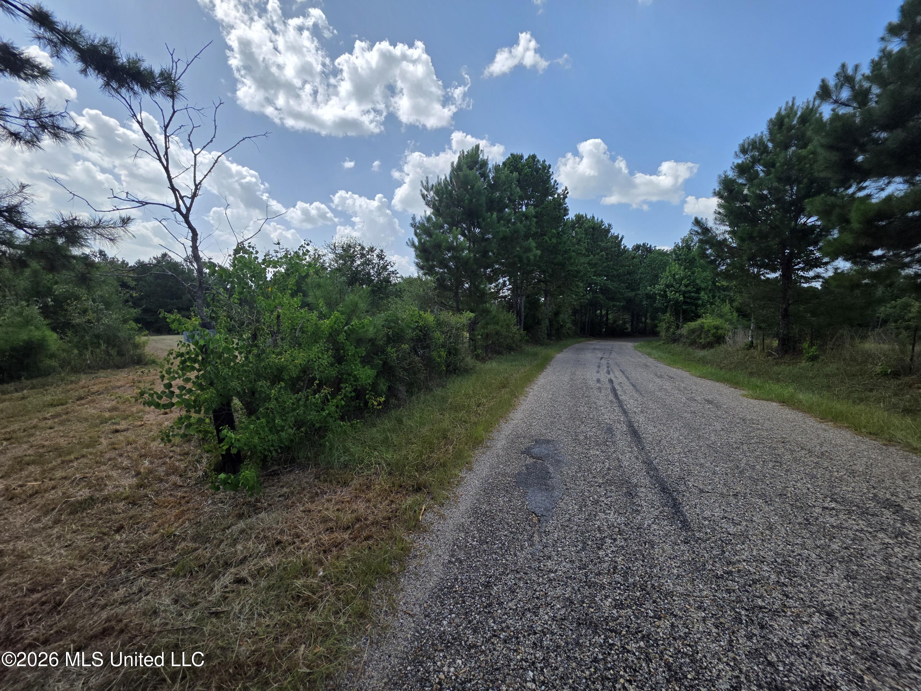 Mount Carmel Road Property Photo 27