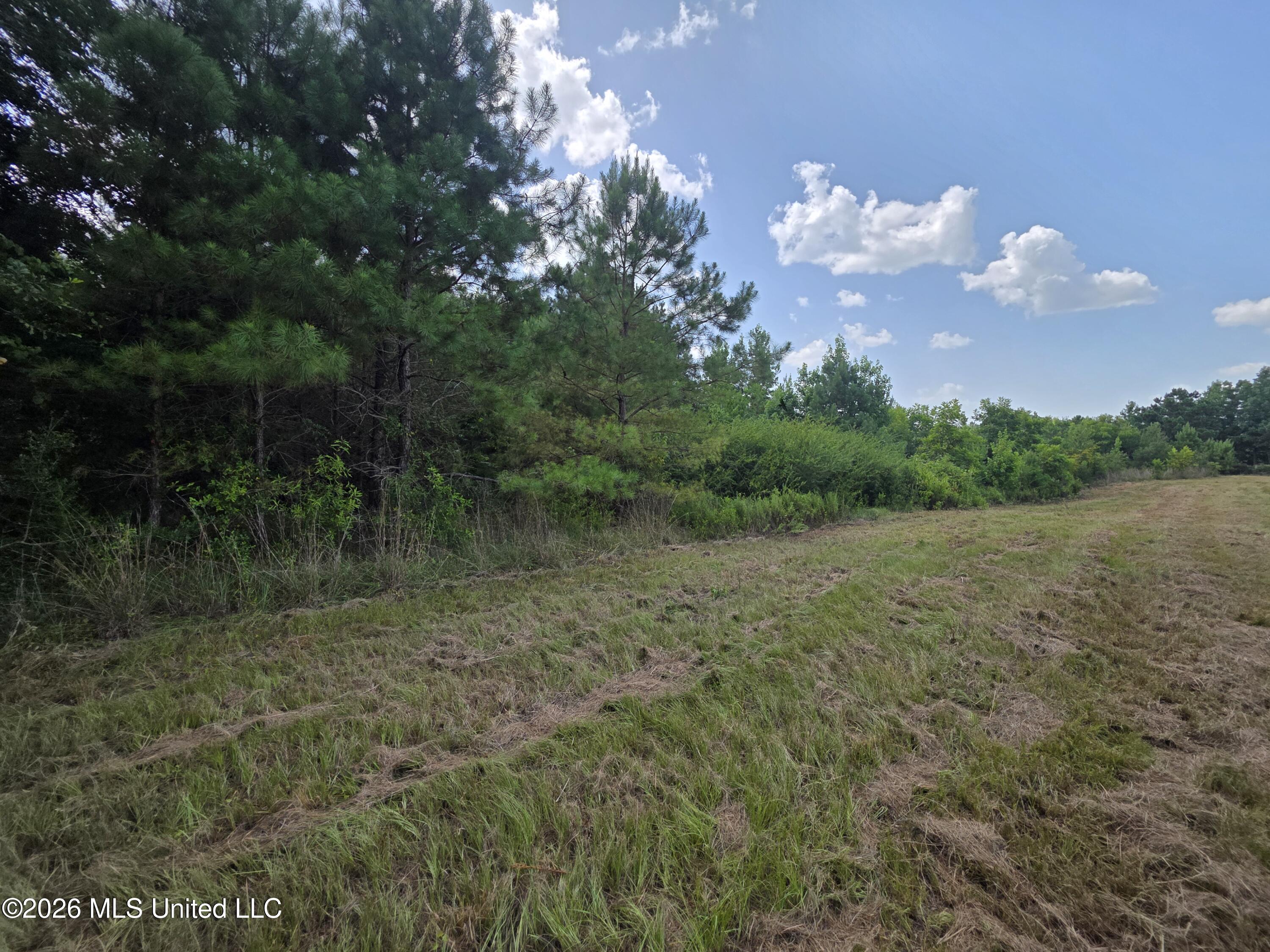 Mount Carmel Road Property Photo 29