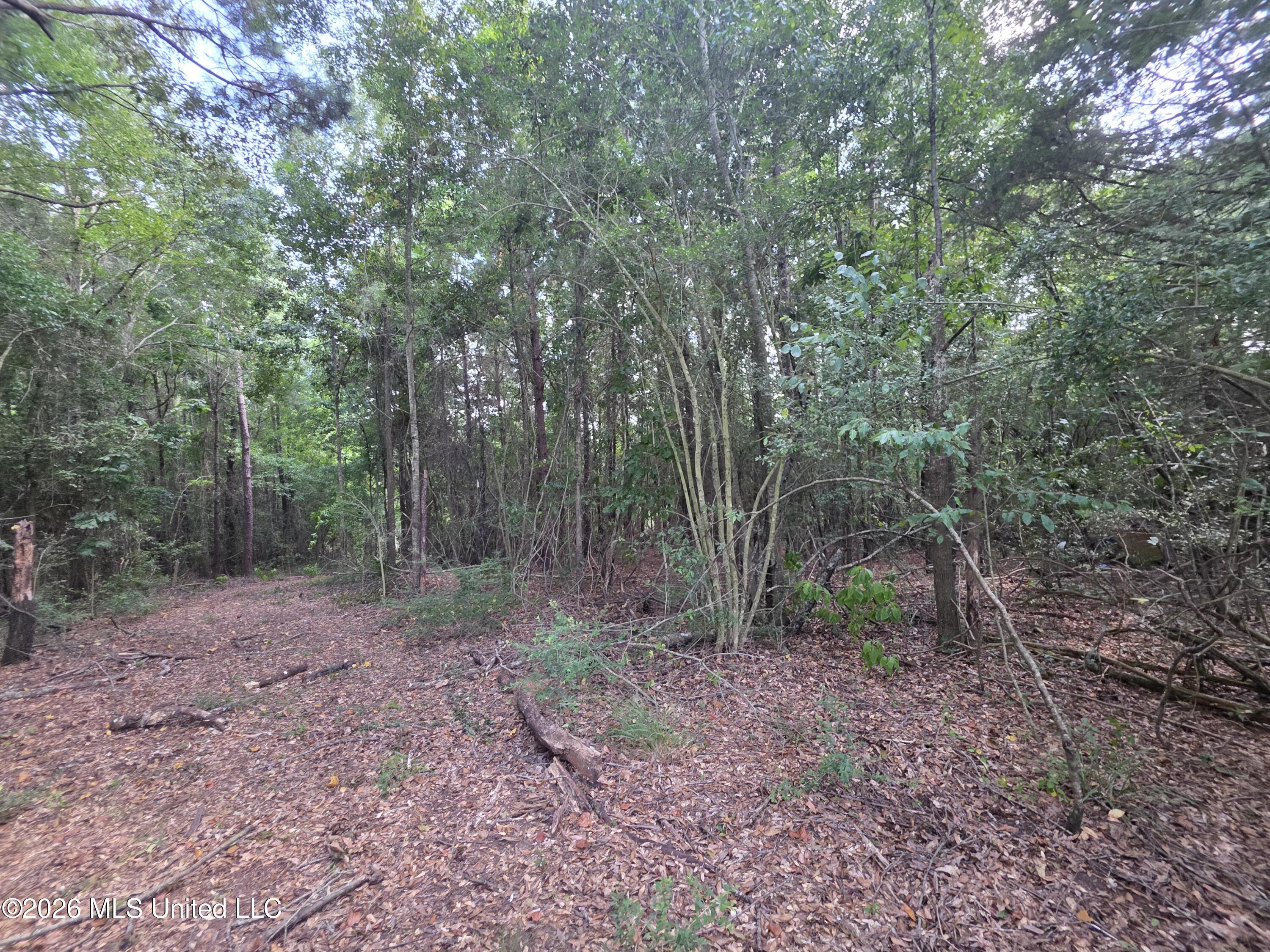 Mount Carmel Road Property Photo 30