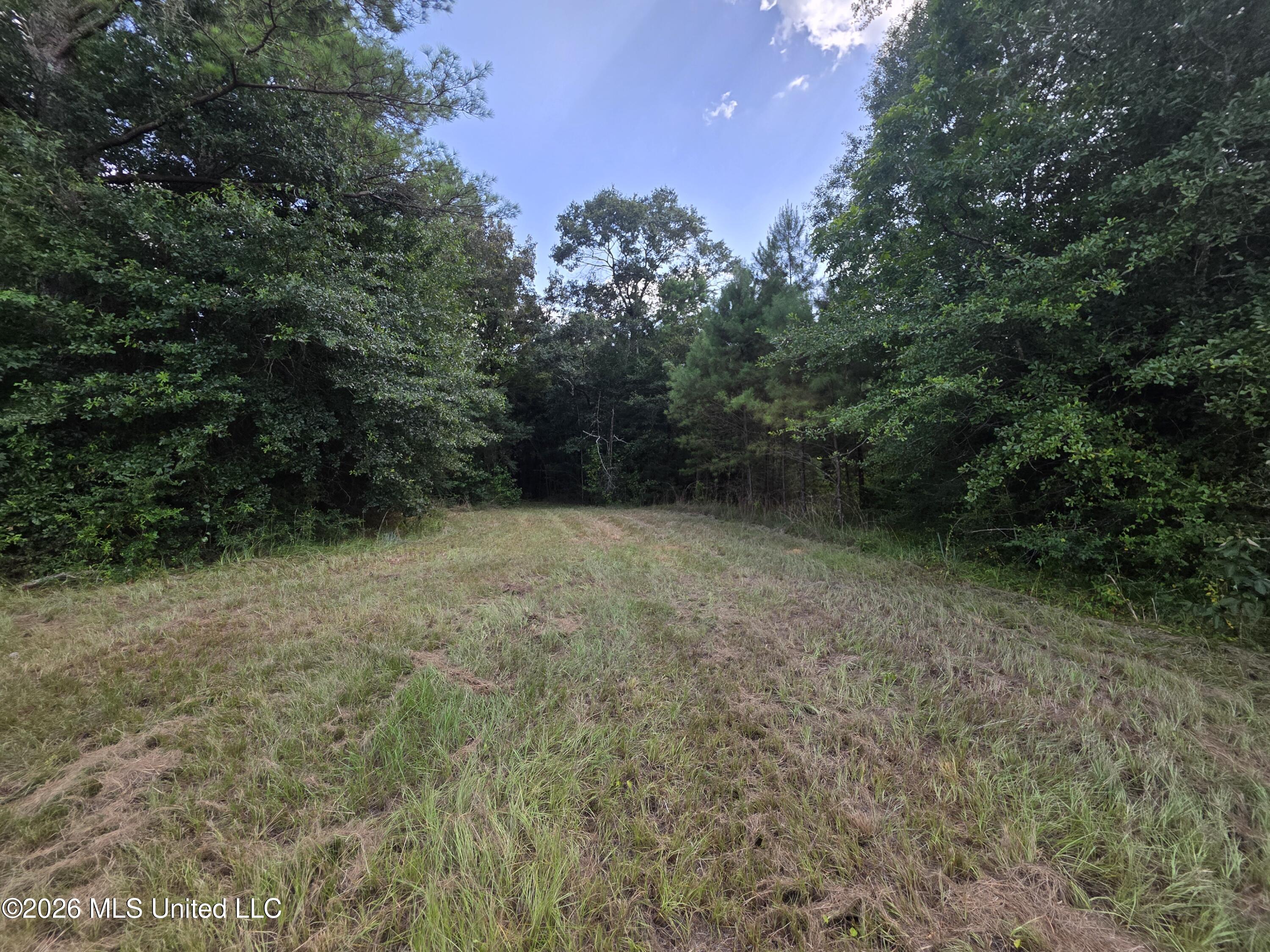 Mount Carmel Road Property Photo 31