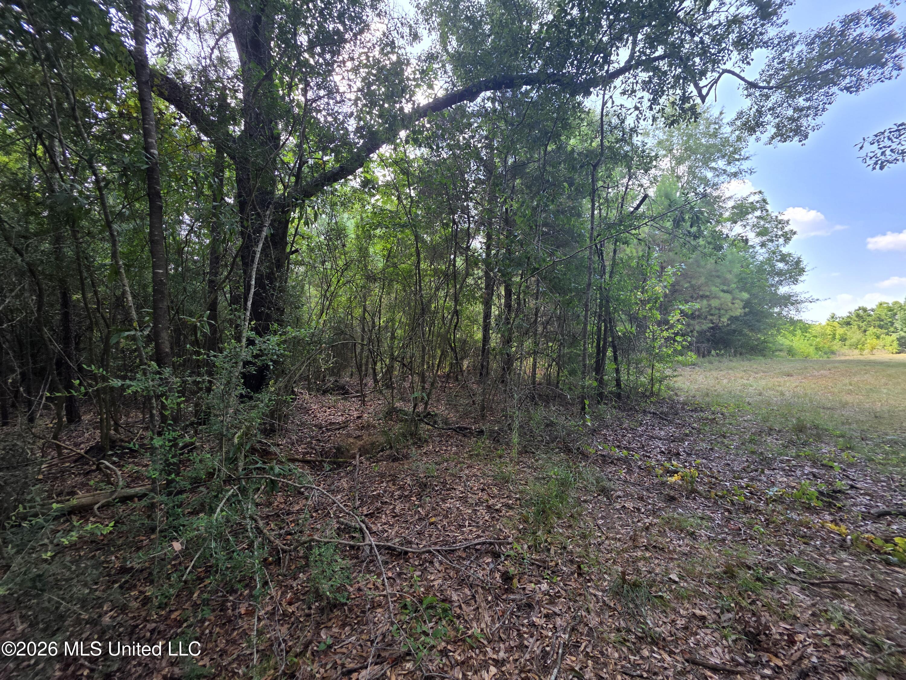 Mount Carmel Road Property Photo 32