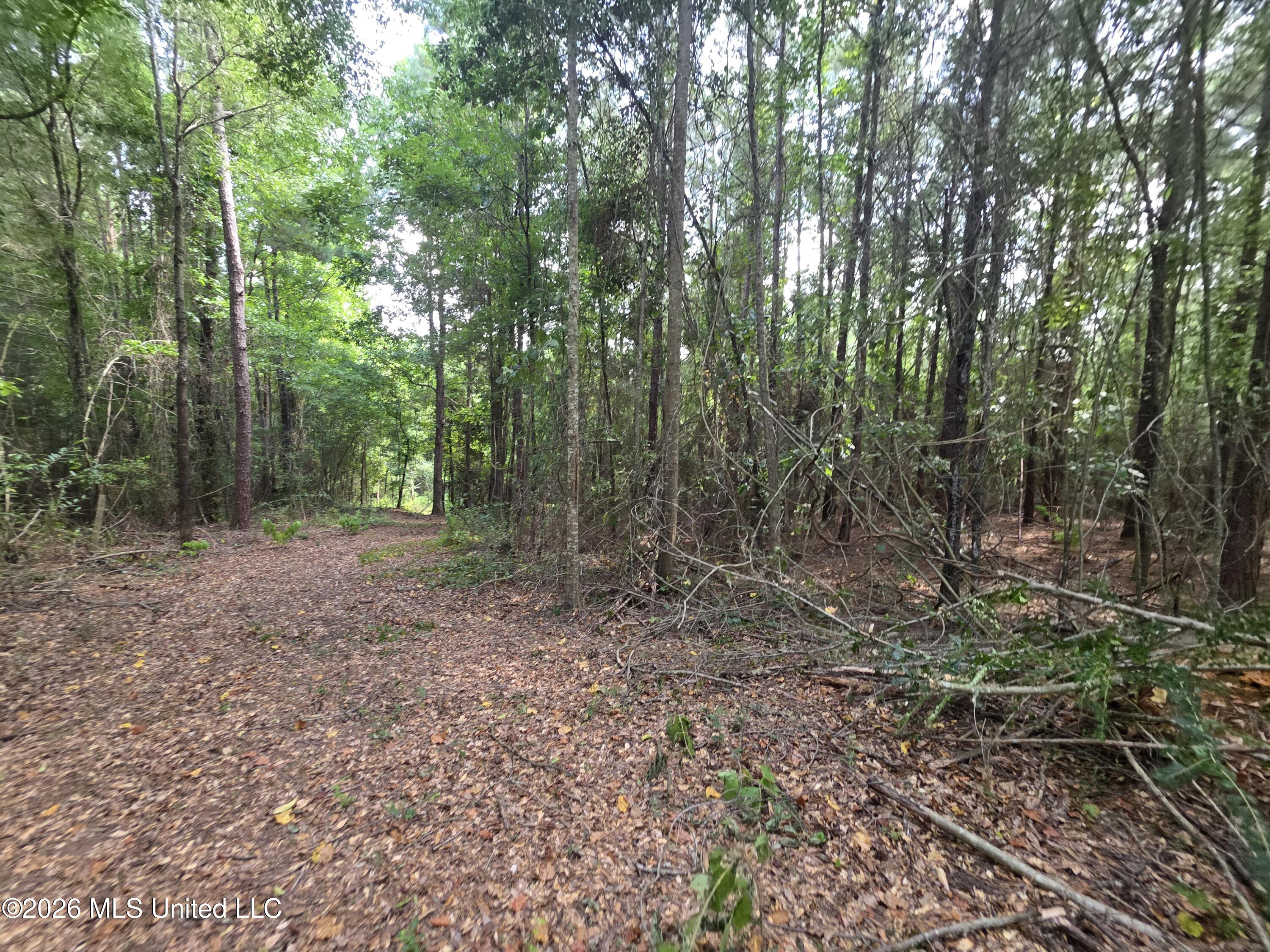 Mount Carmel Road Property Photo 33