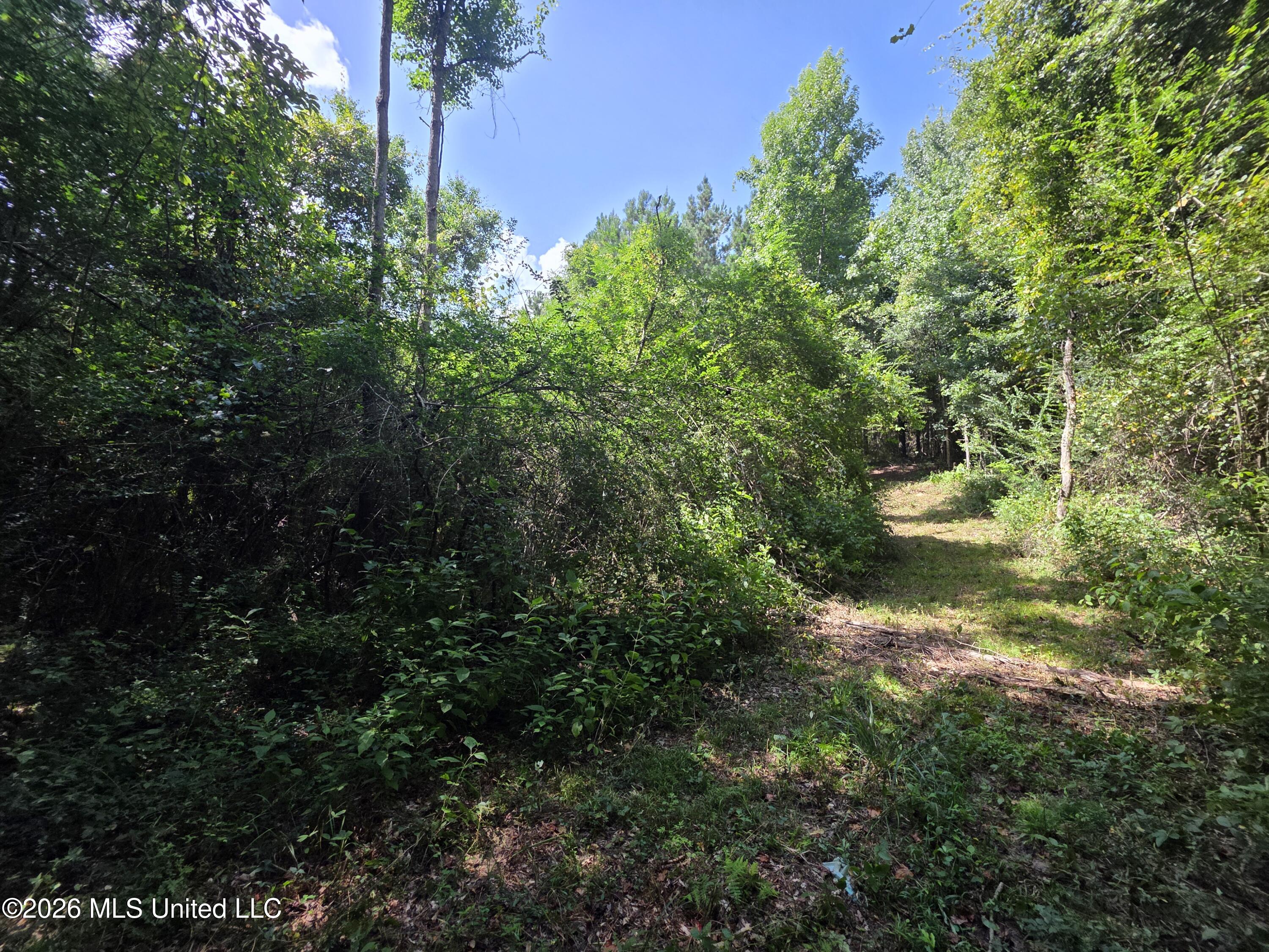 Mount Carmel Road Property Photo 35