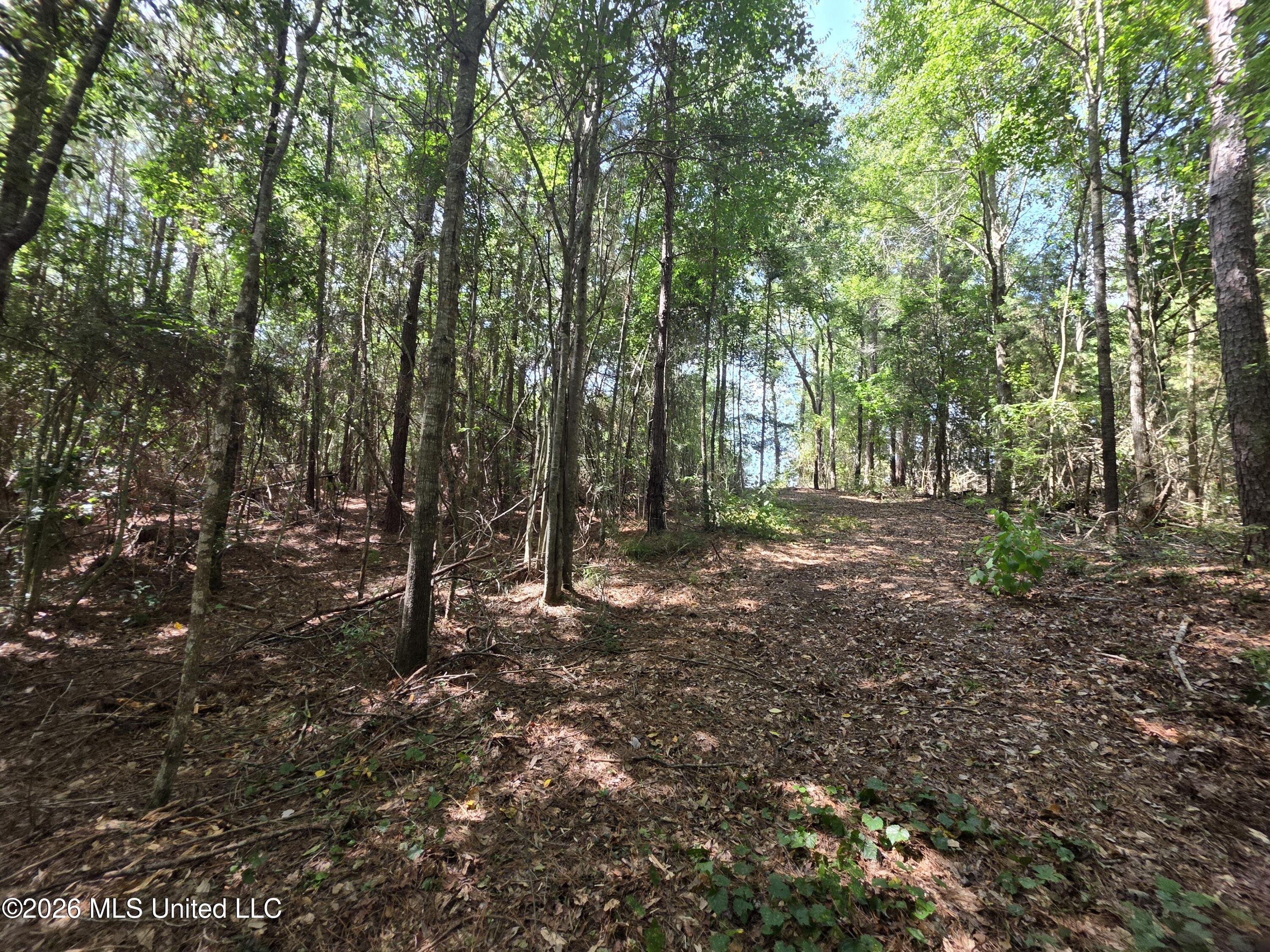 Mount Carmel Road Property Photo 36
