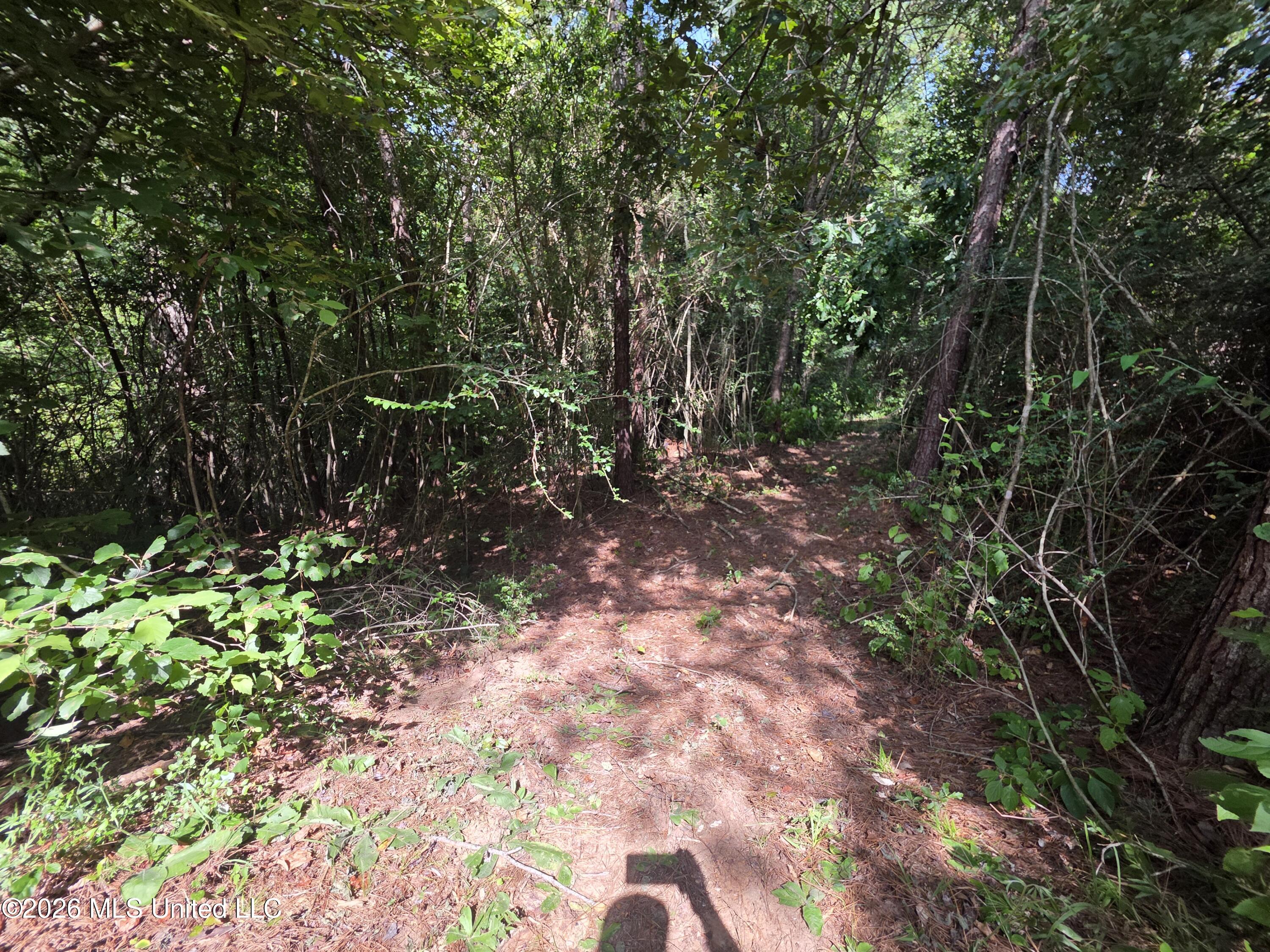 Mount Carmel Road Property Photo 37