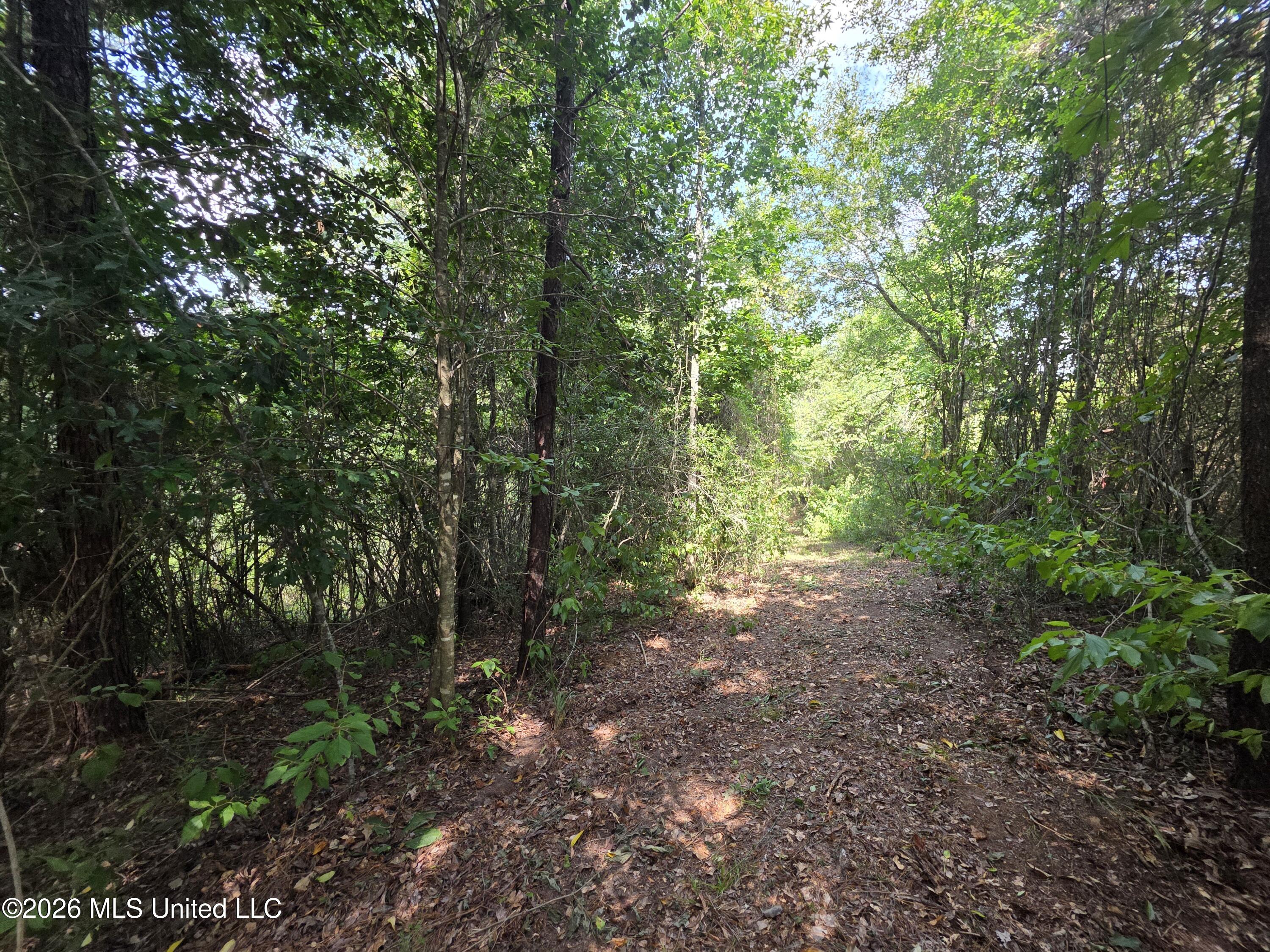 Mount Carmel Road Property Photo 38