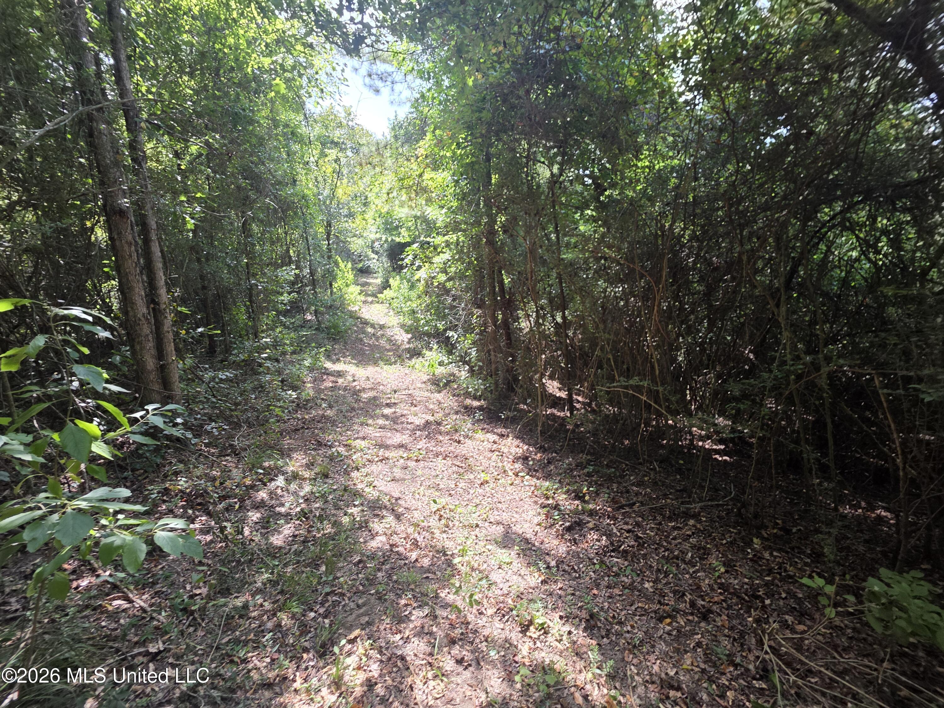 Mount Carmel Road Property Photo 39