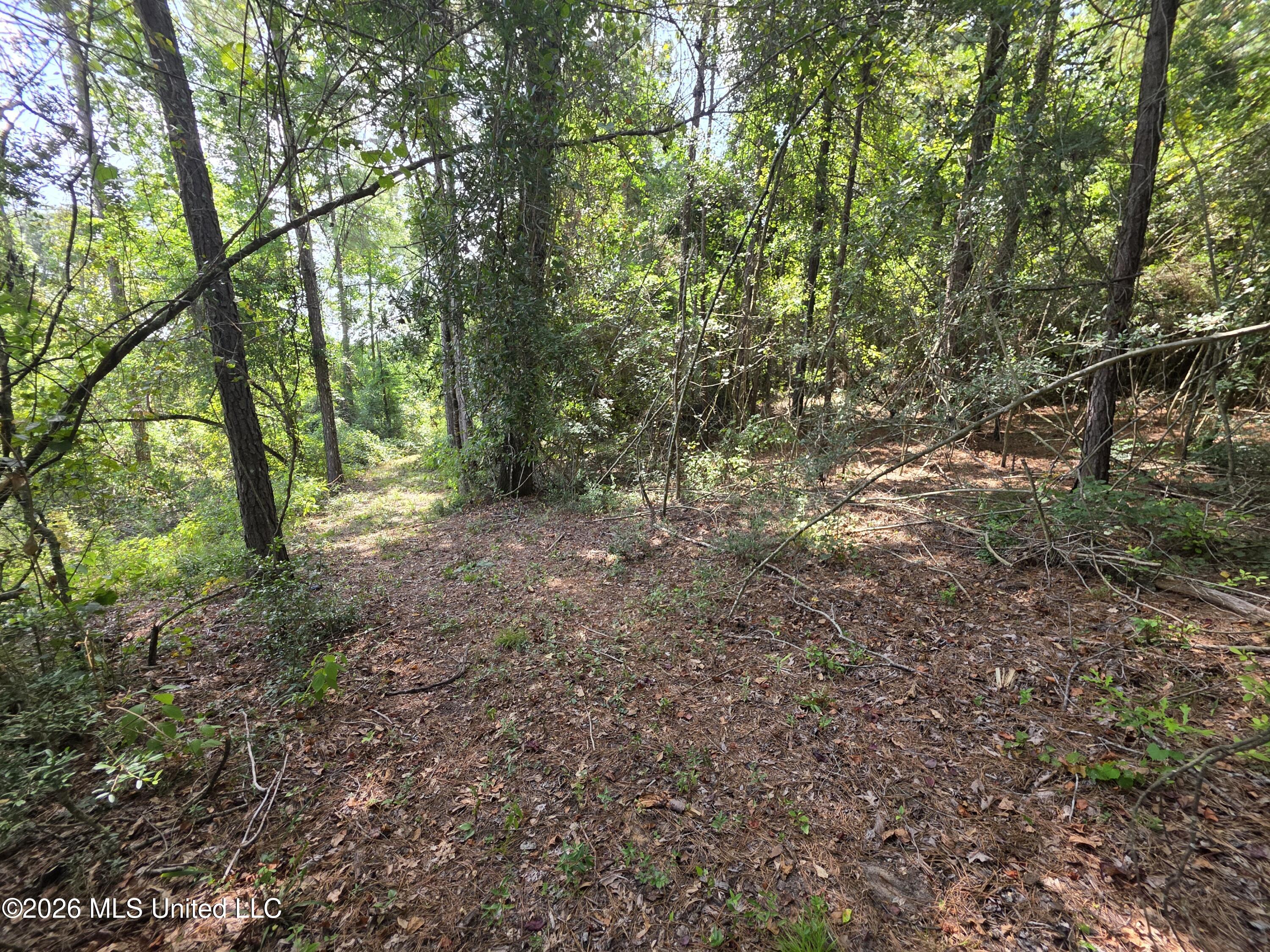 Mount Carmel Road Property Photo 40