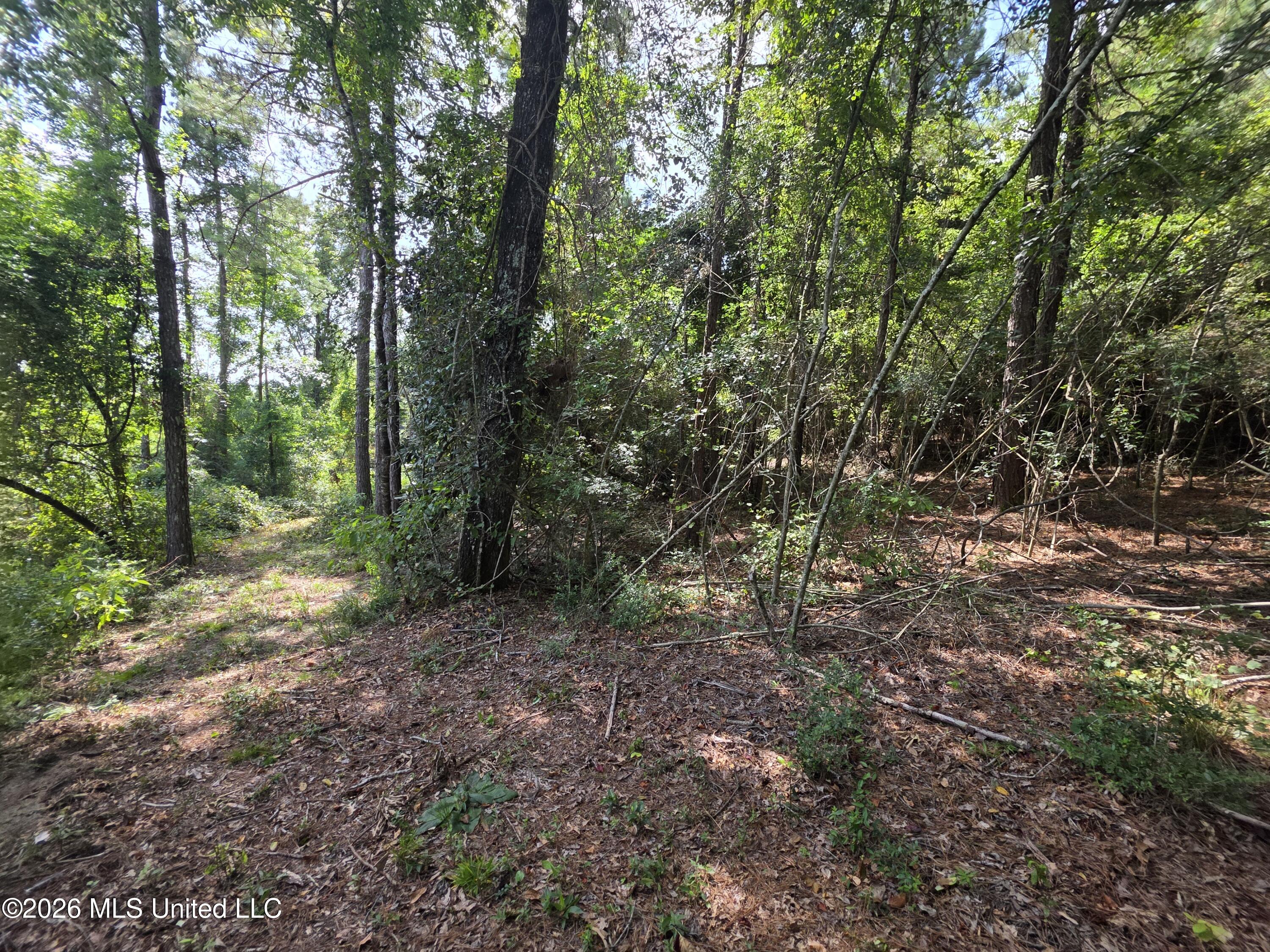 Mount Carmel Road Property Photo 41
