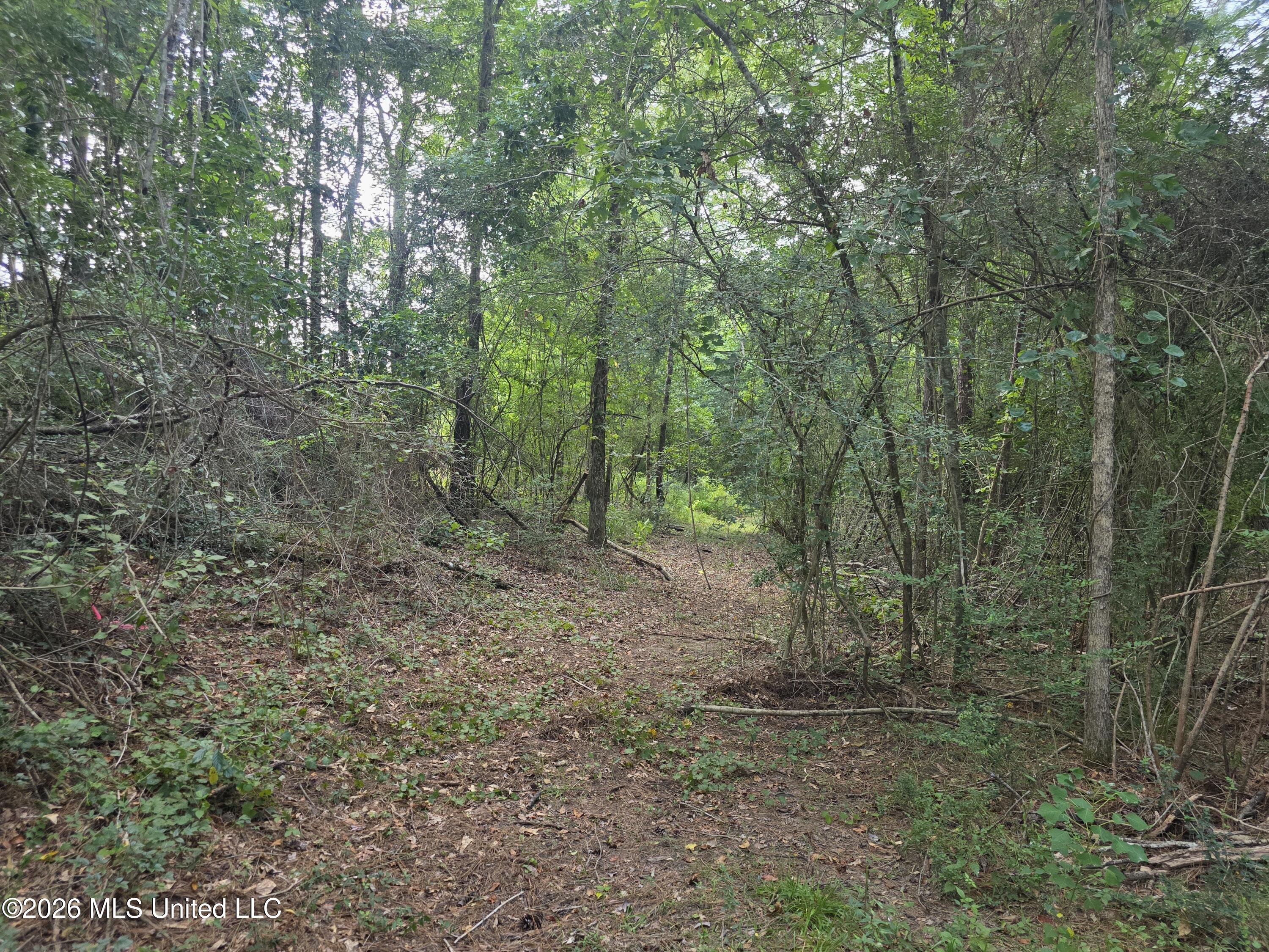 Mount Carmel Road Property Photo 42