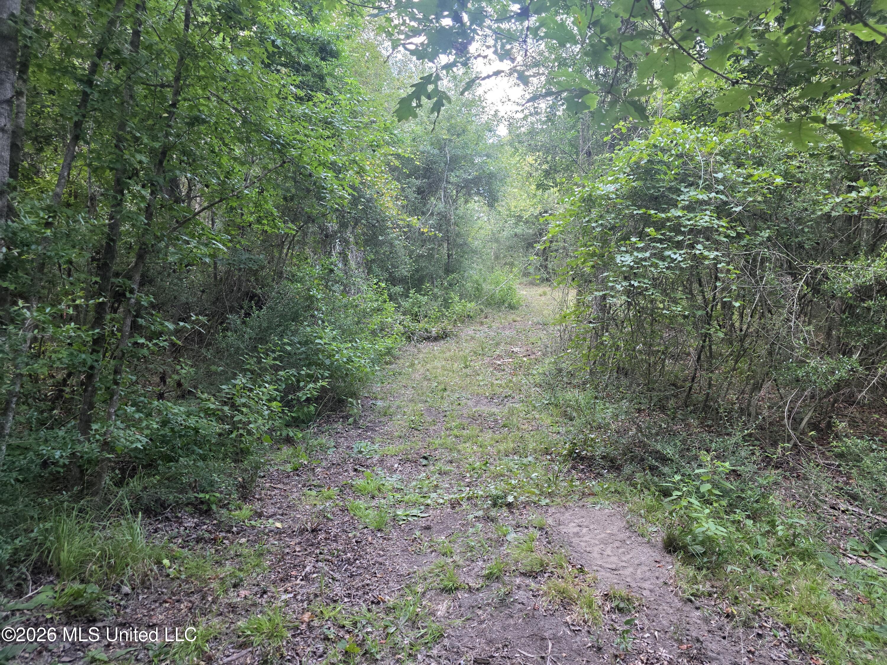 Mount Carmel Road Property Photo 44