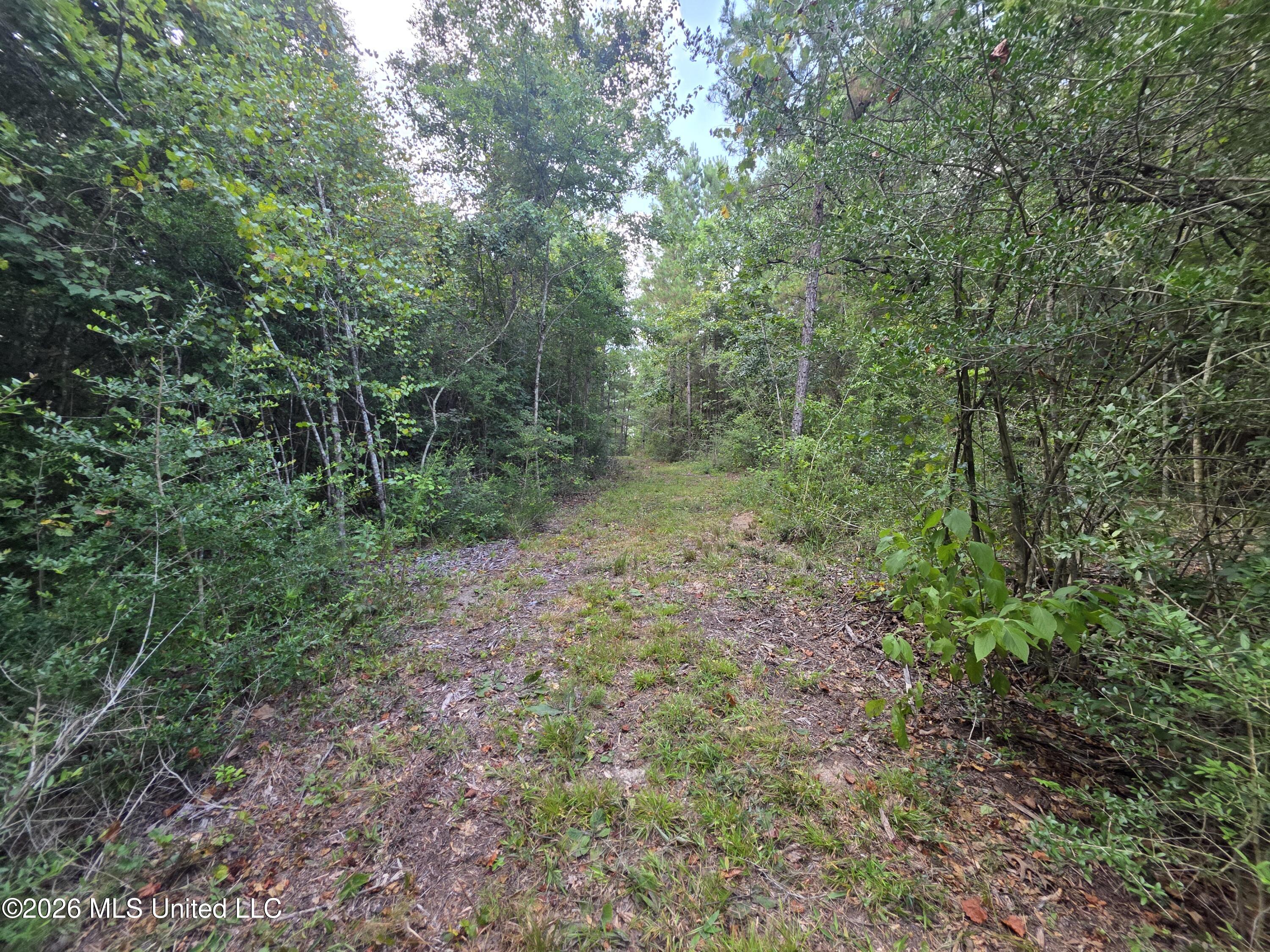 Mount Carmel Road Property Photo 45