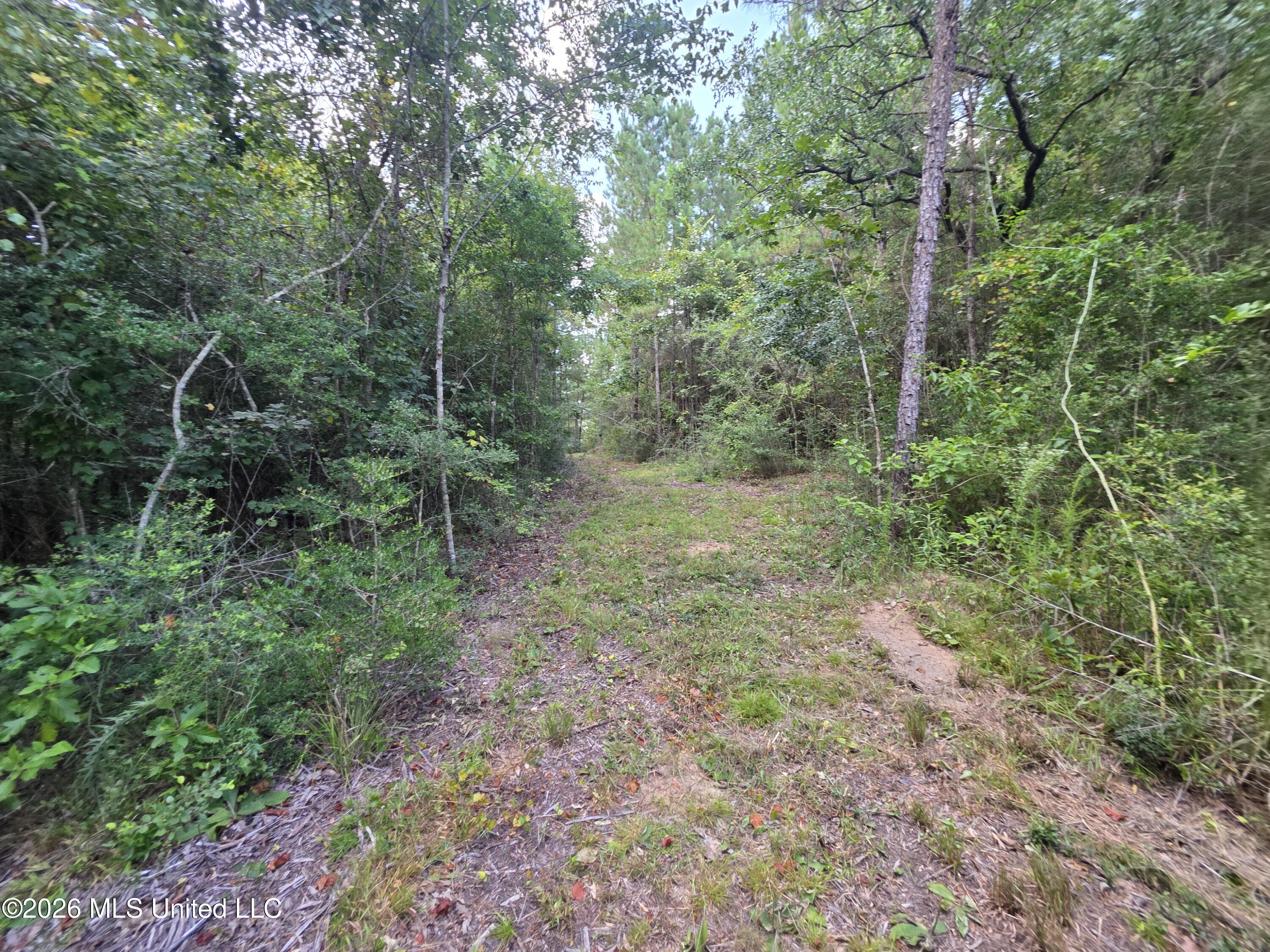 Mount Carmel Road Property Photo 46