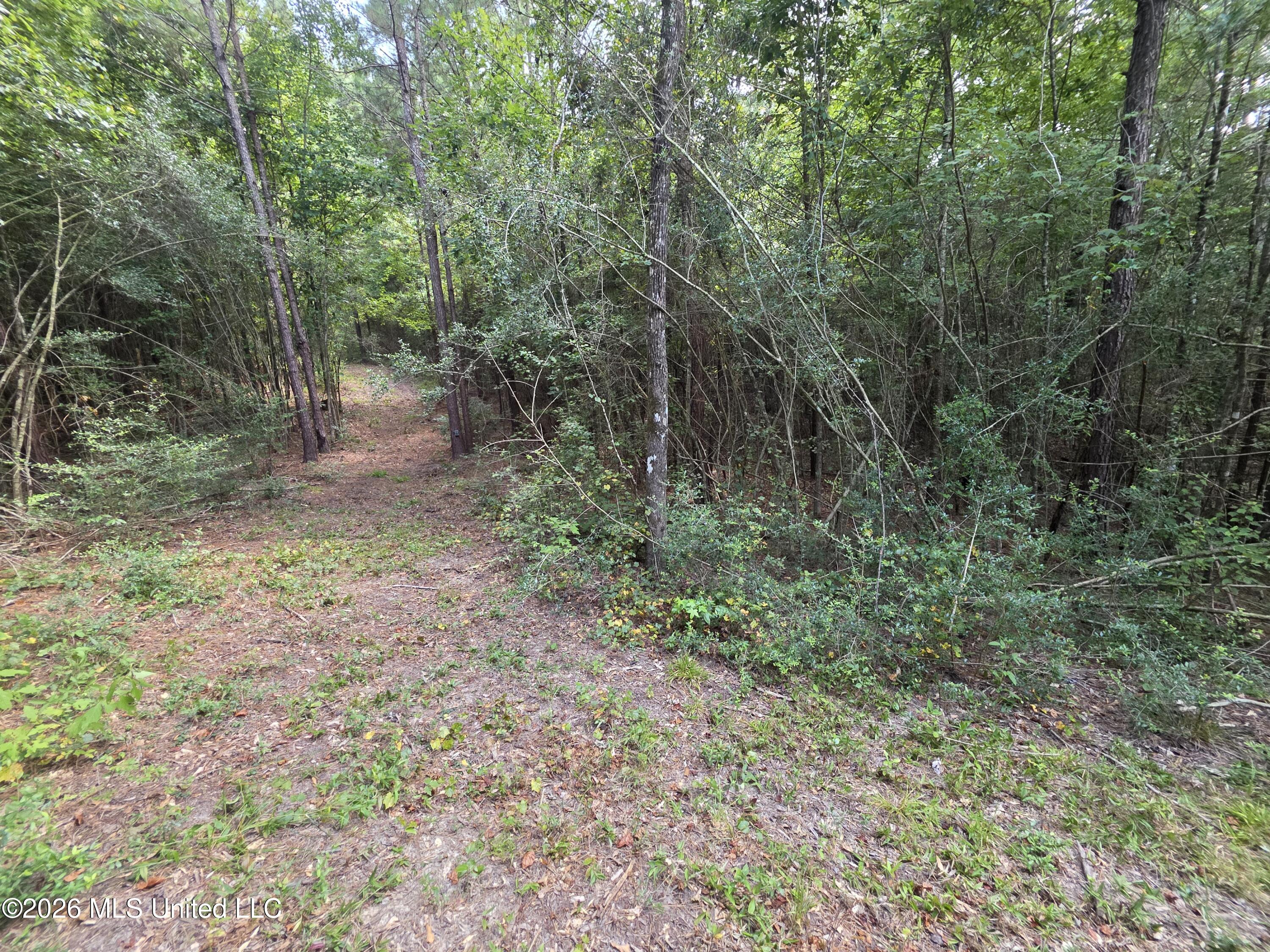 Mount Carmel Road Property Photo 47