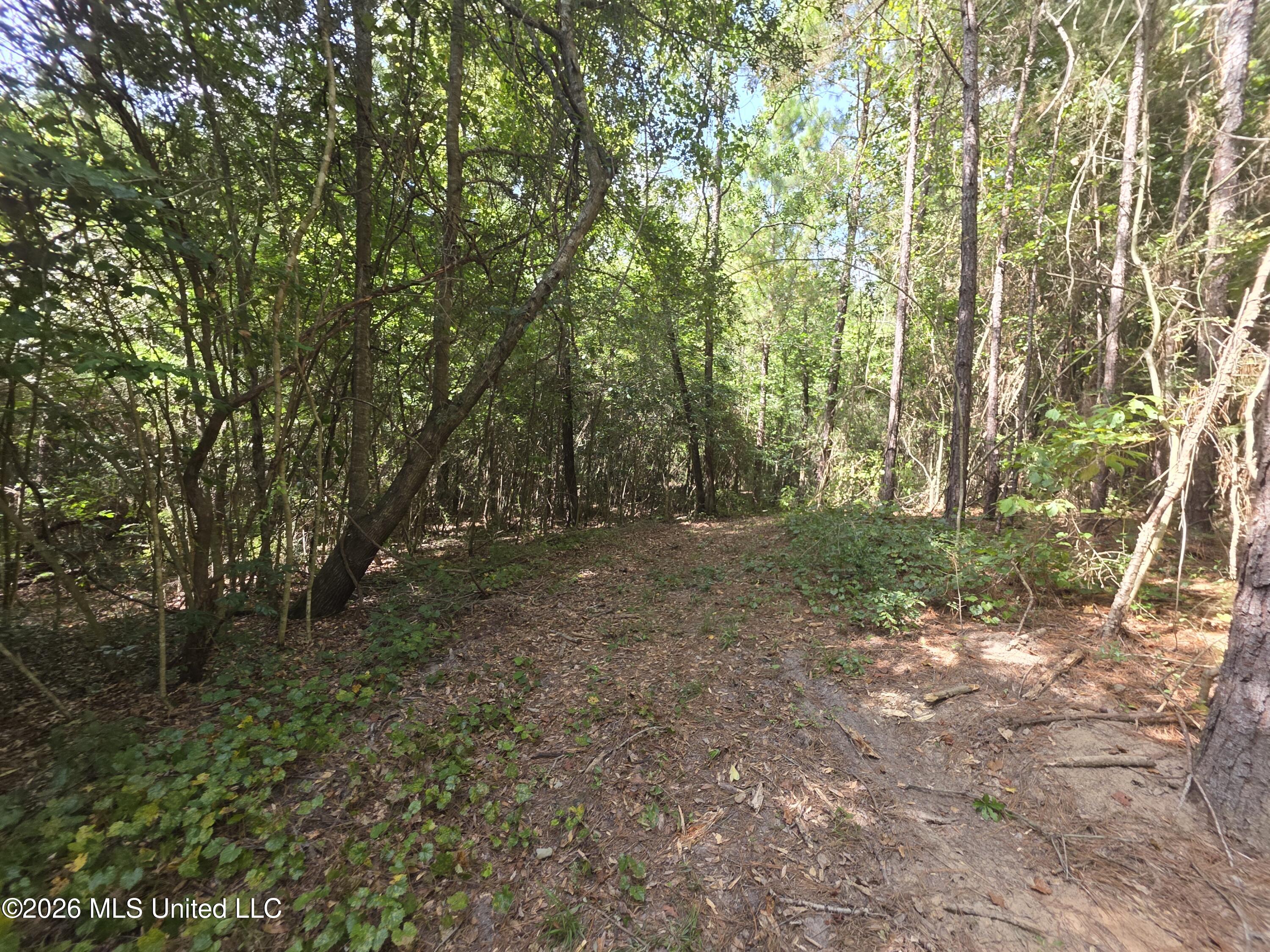 Mount Carmel Road Property Photo 48