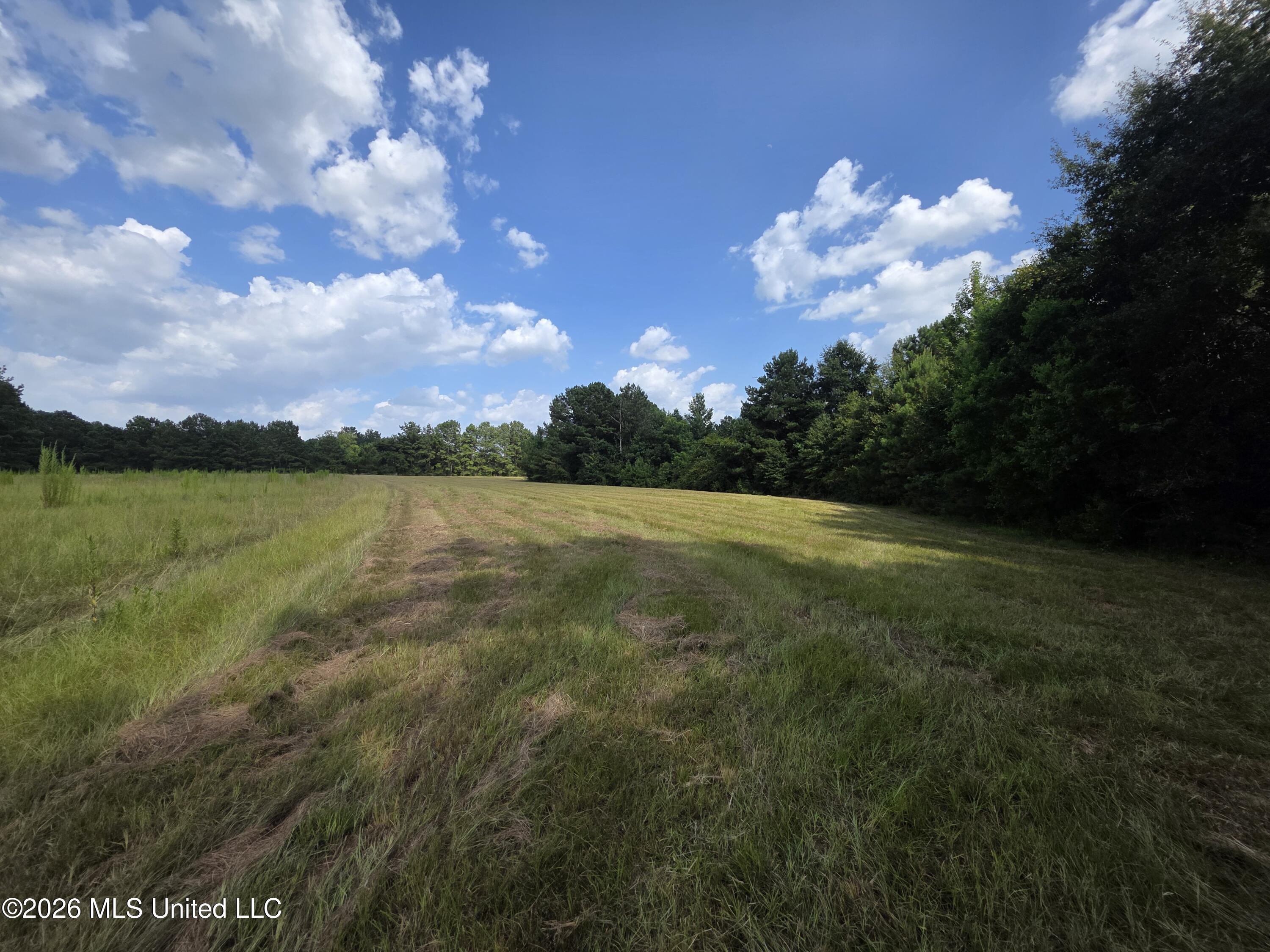 Mount Carmel Road Property Photo 49