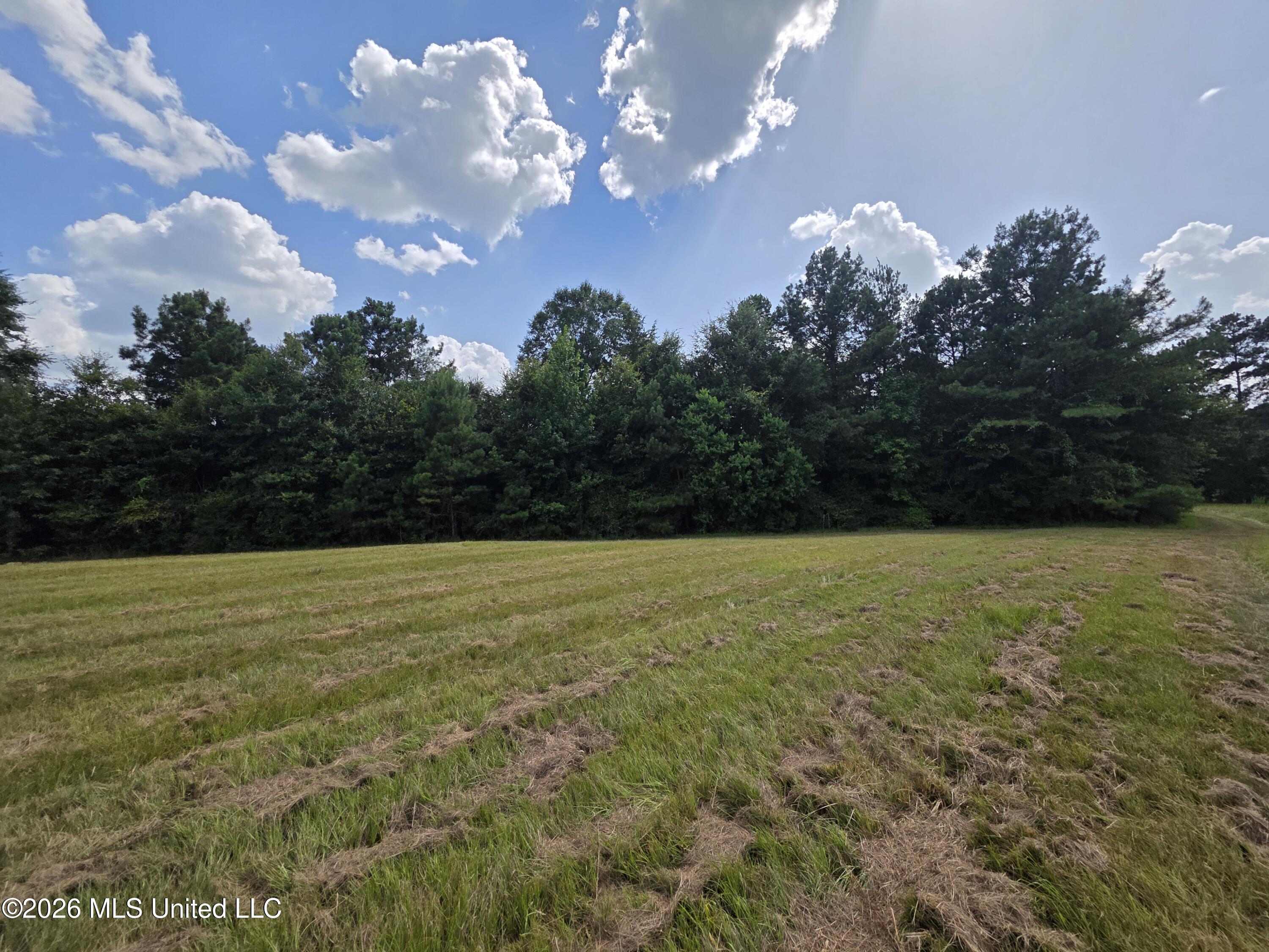 Mount Carmel Road Property Photo 50