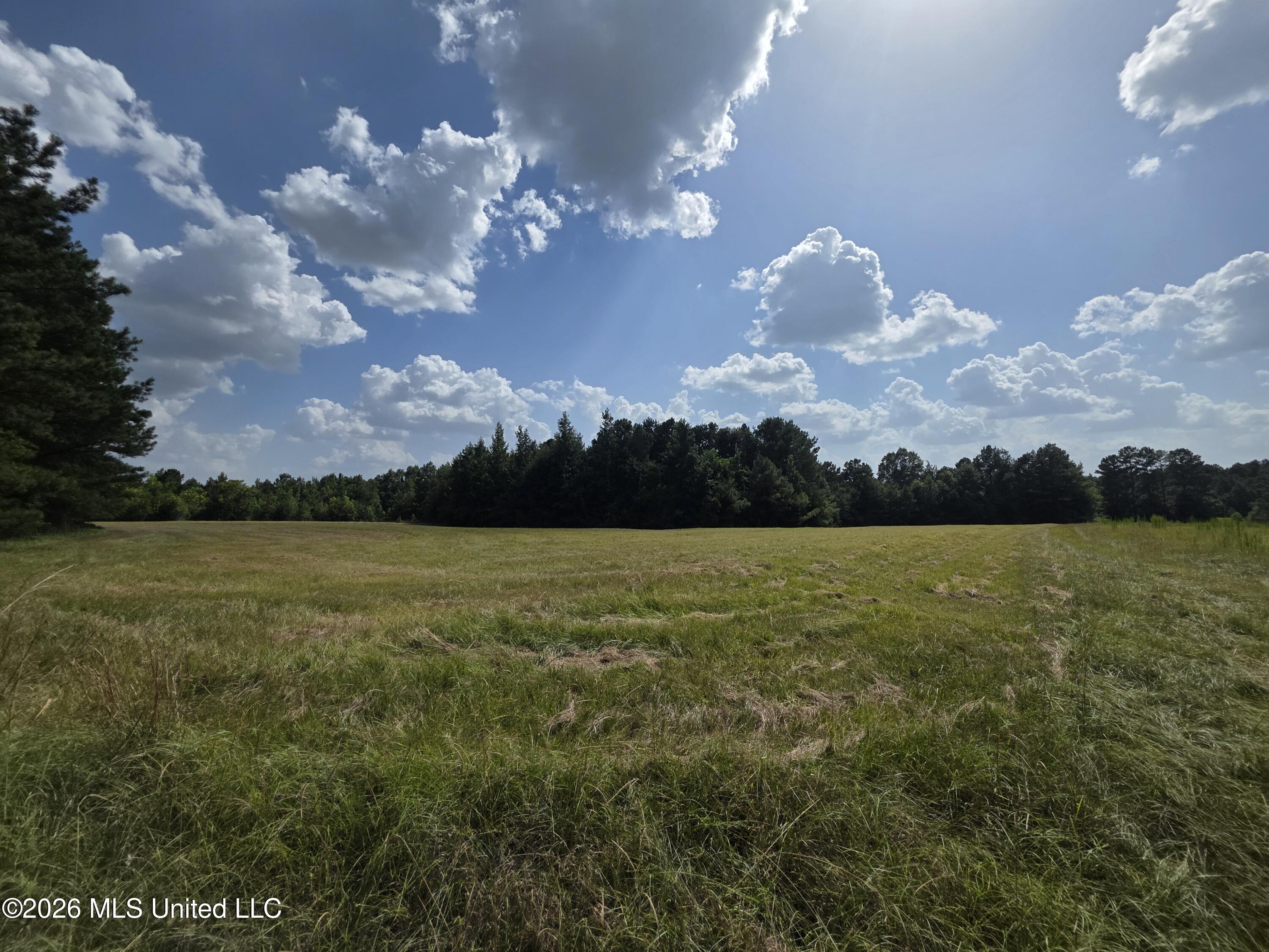 Mount Carmel Road Property Photo 52
