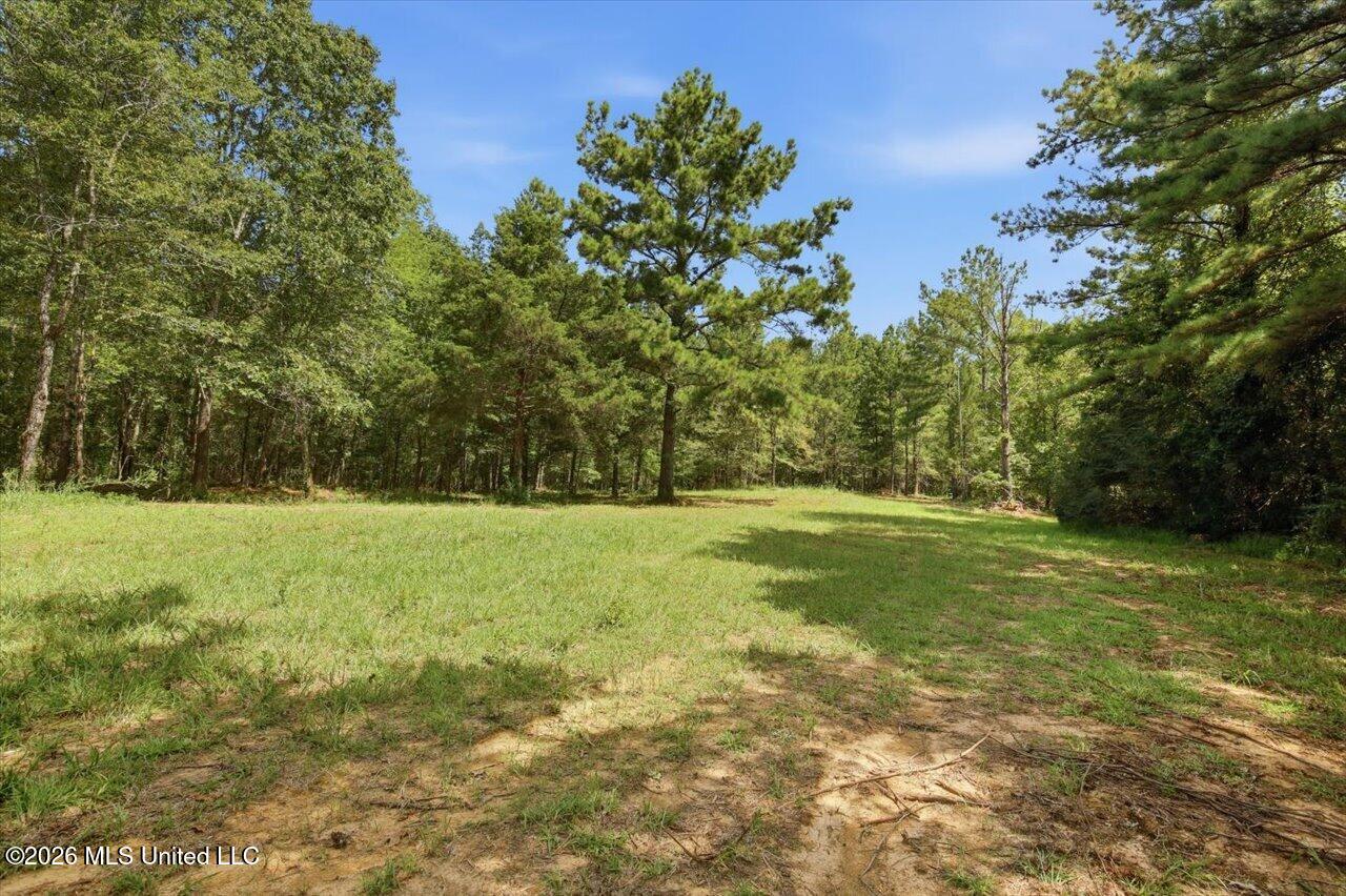 042 Potluck Road Property Photo 5