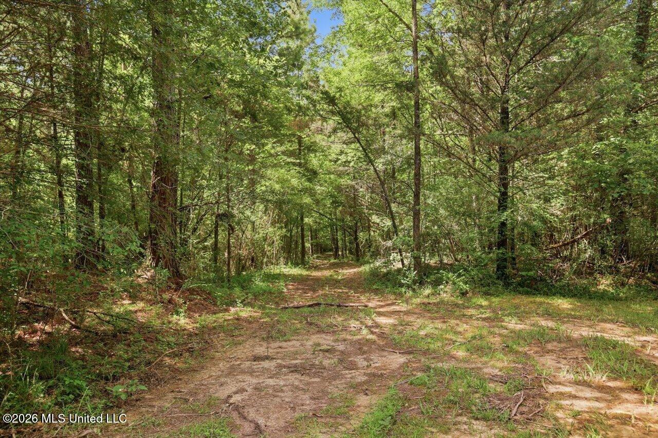 042 Potluck Road Property Photo 8