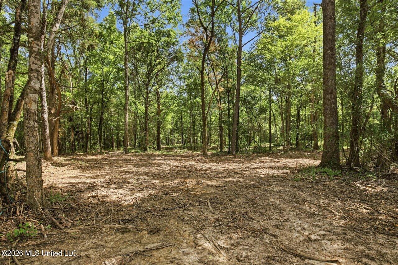 042 Potluck Road Property Photo 9