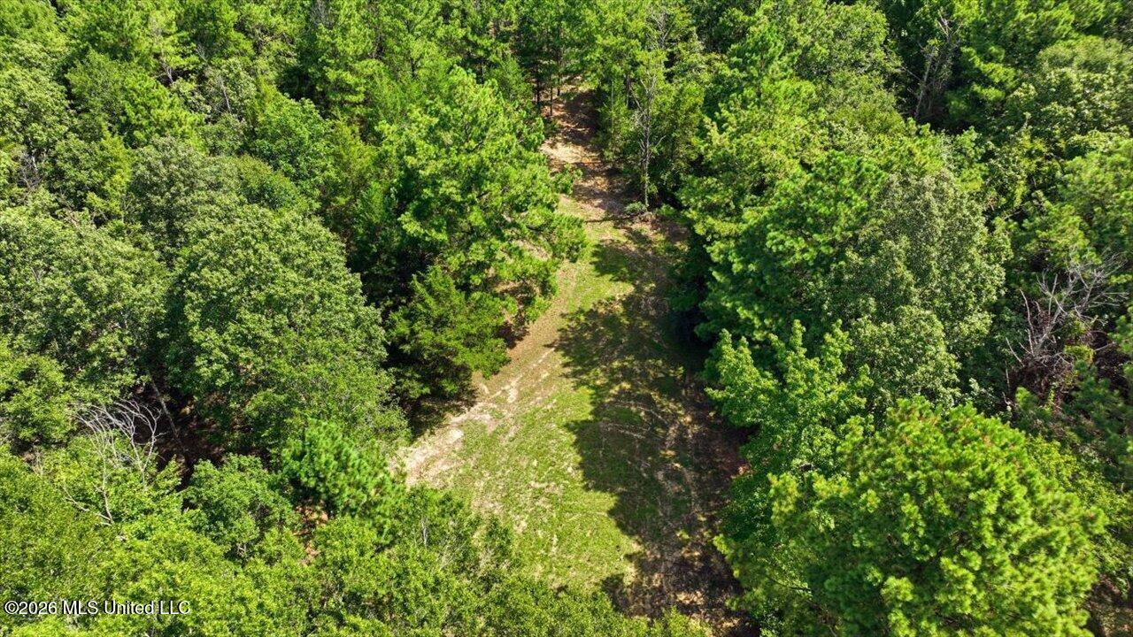 042 Potluck Road Property Photo 22