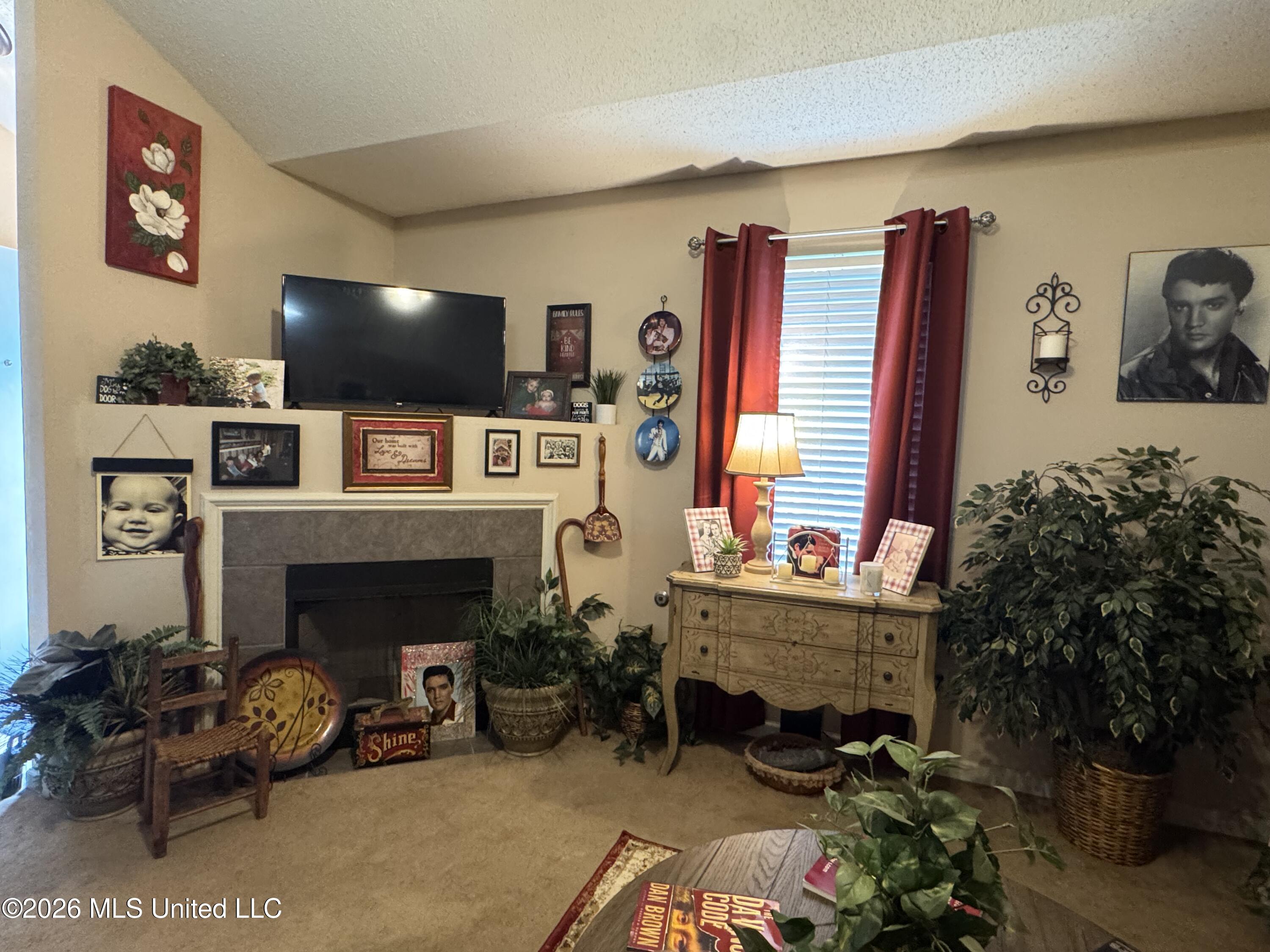 7291 Madelyn Cove Property Photo 4