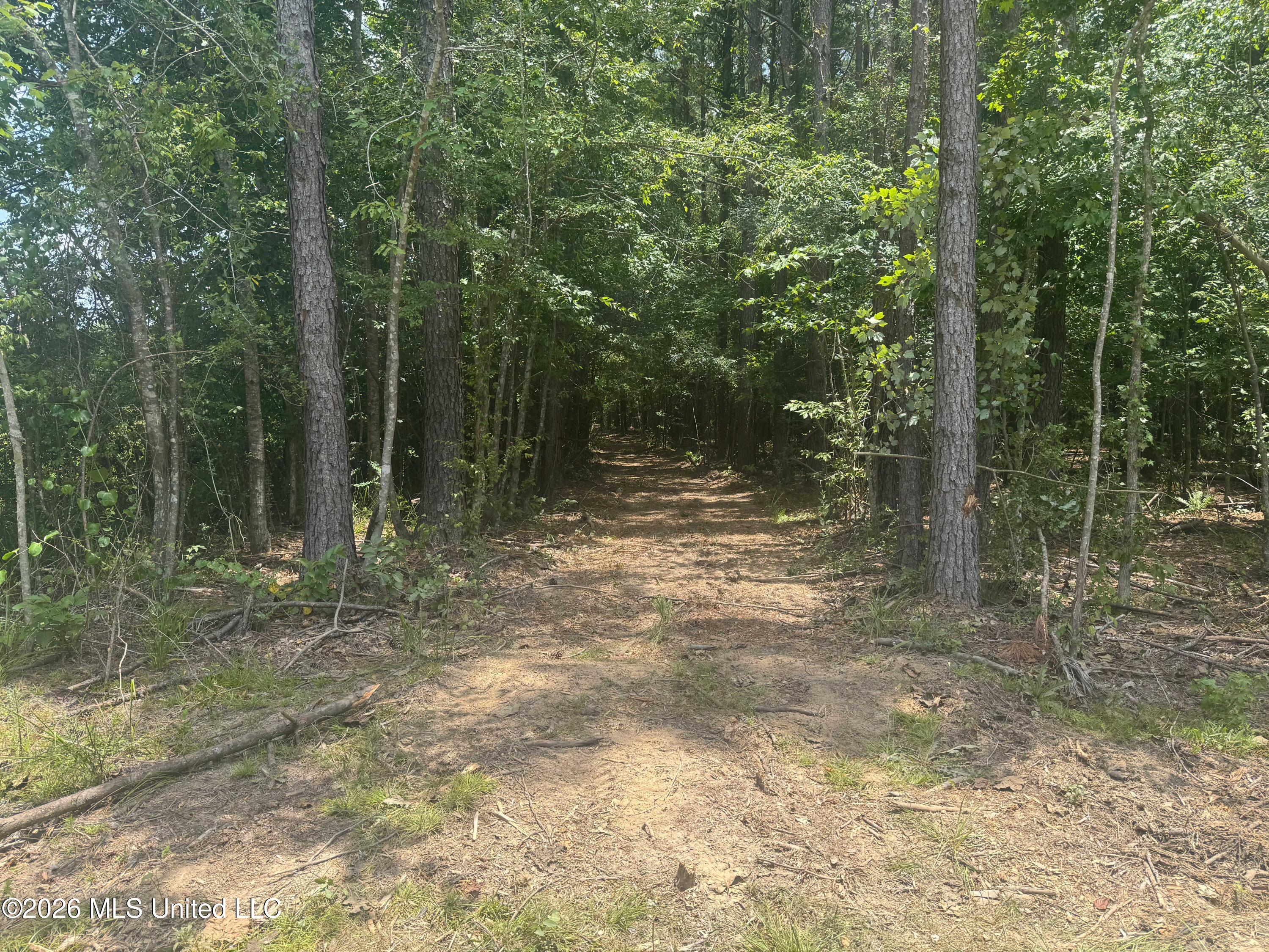 000 Sw Maude Lane Property Photo 6