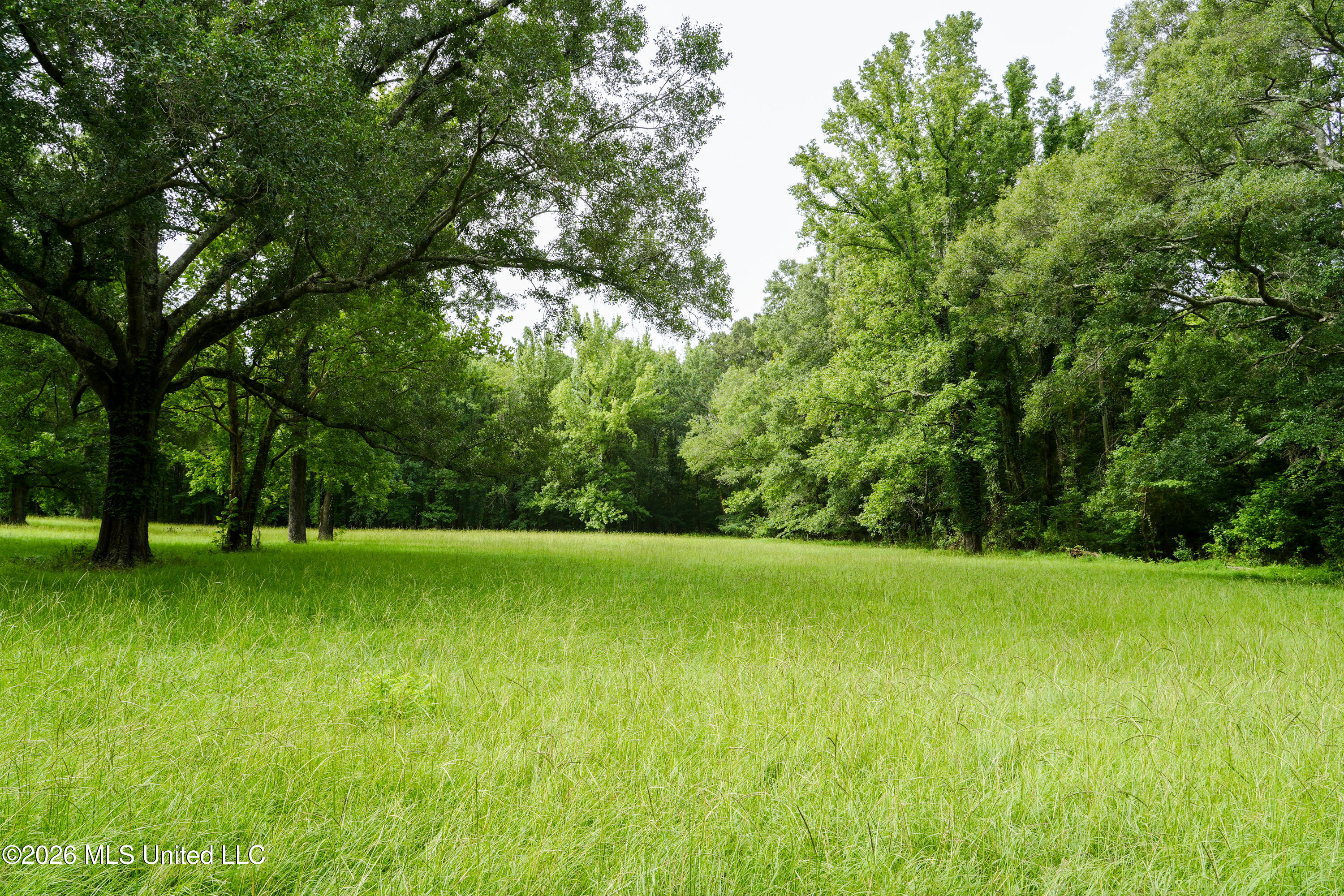 15555 Highway 18 Property Photo 12