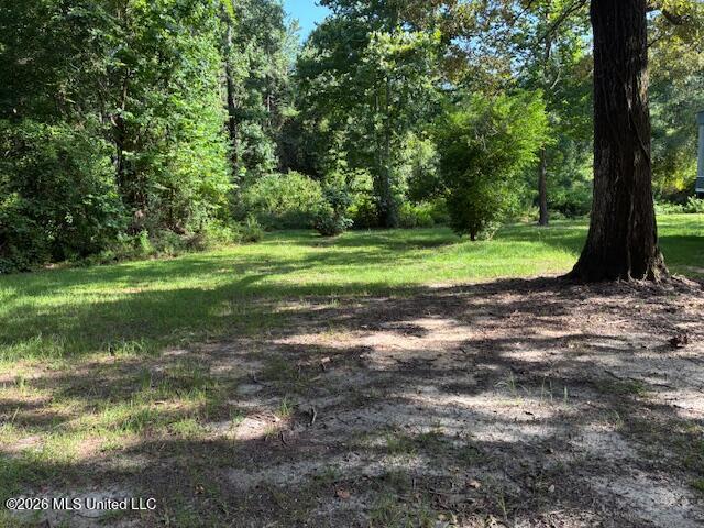3172 W Highway 48 Highway Property Photo 15