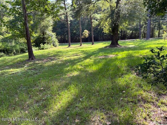 3172 W Highway 48 Highway Property Photo 16