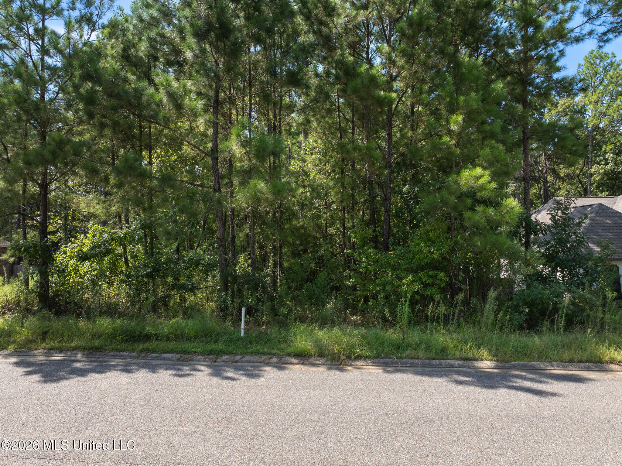 0 Everglades Property Photo 11