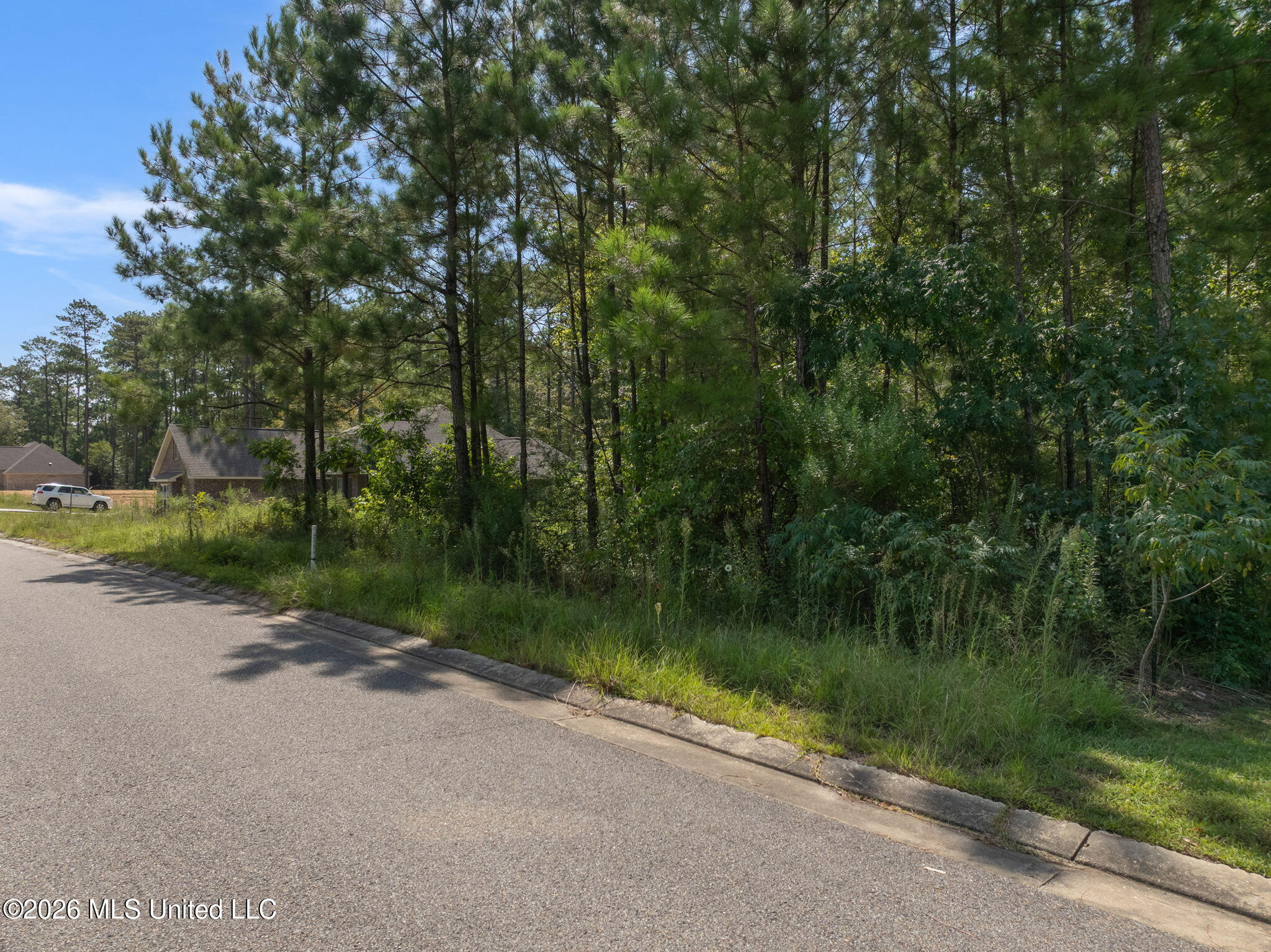 0 Everglades Property Photo 12