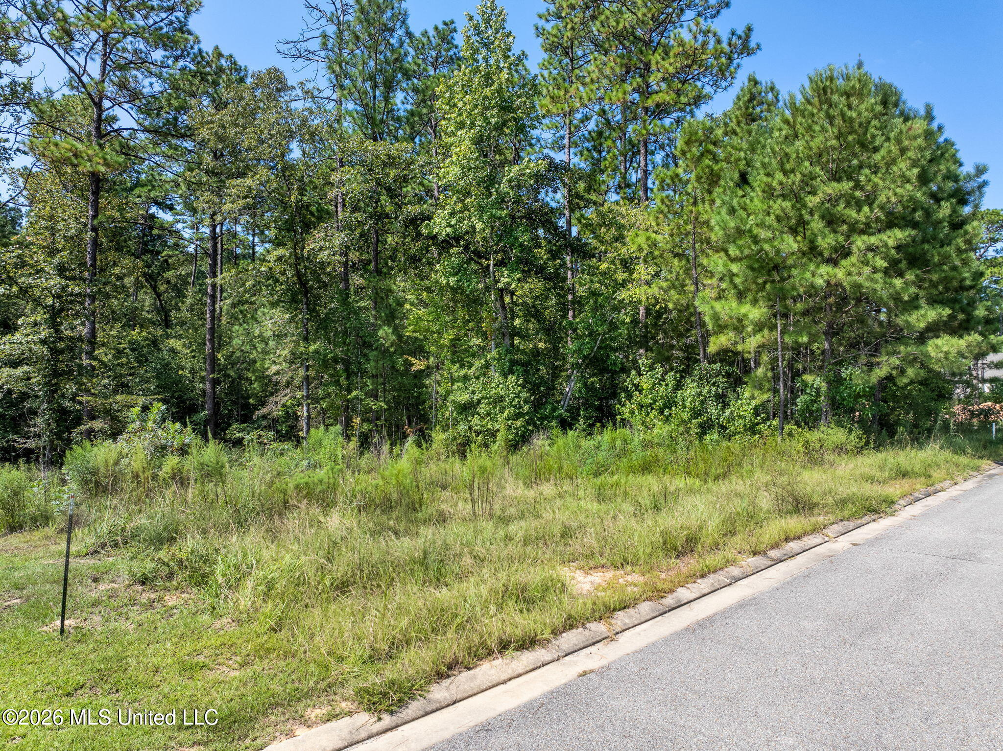 0 Everglades Property Photo 13