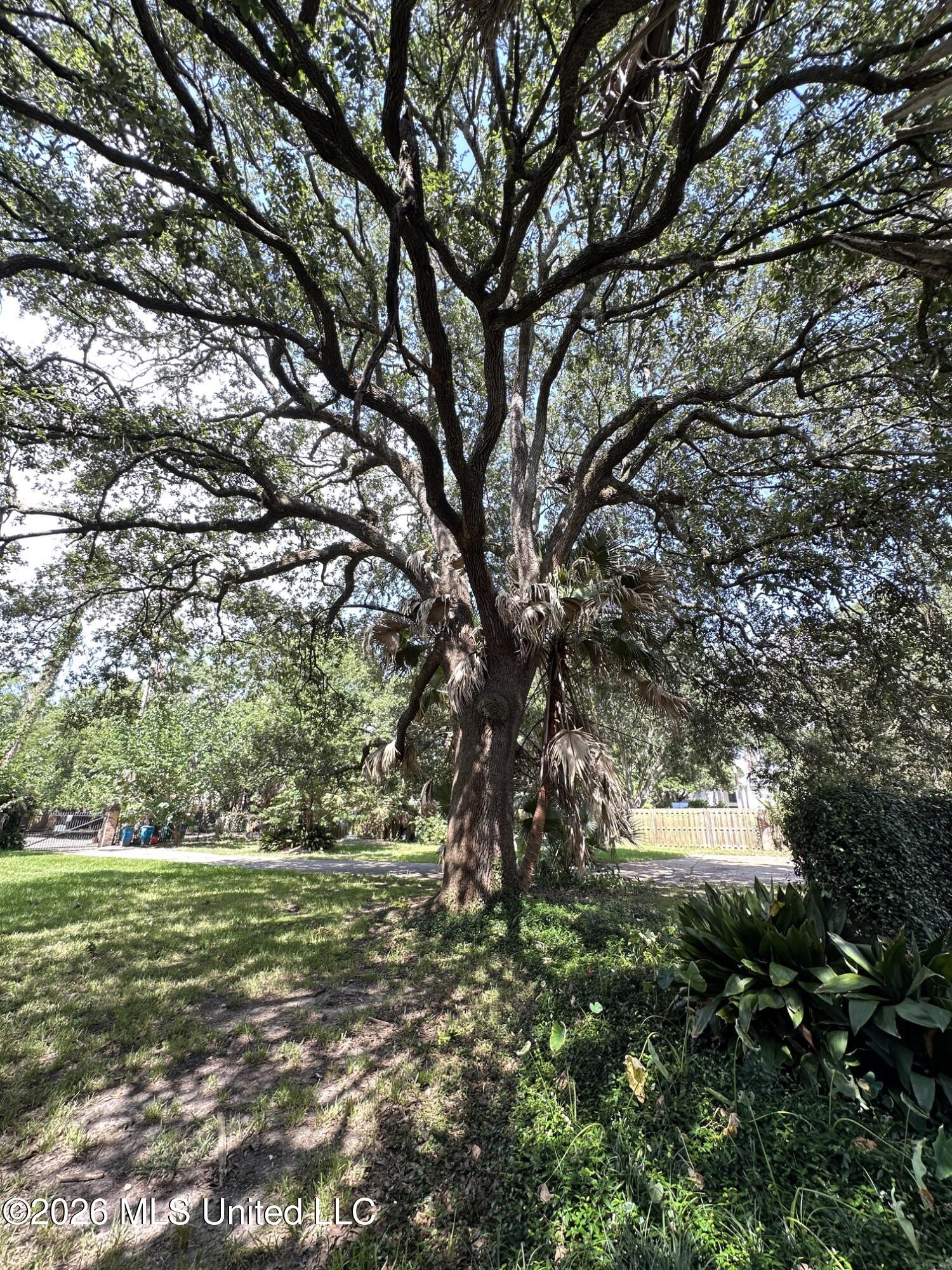 3117 Beach Boulevard Property Photo 47