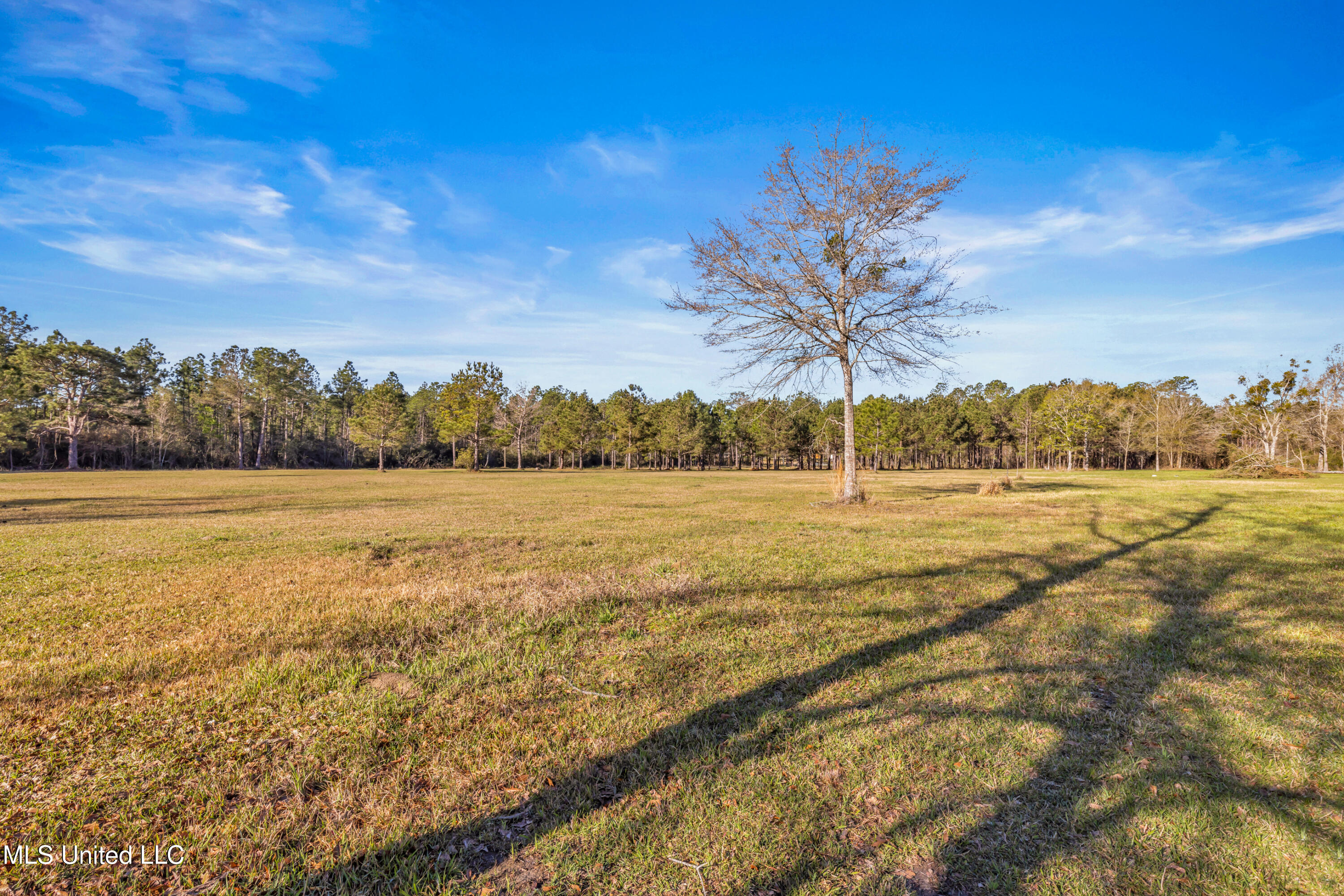 11340 County Farm Road Property Photo 32