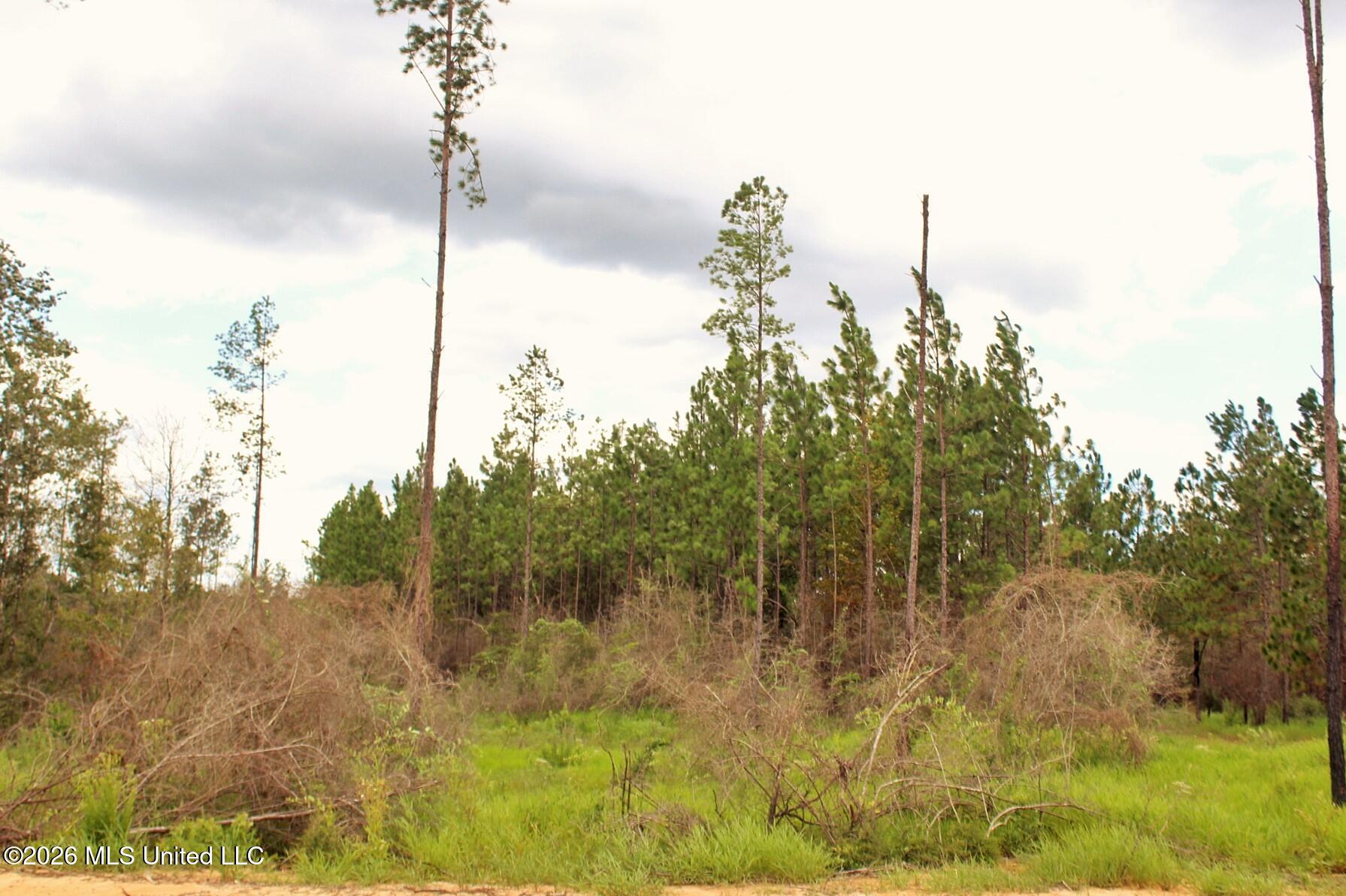 8.83ac Little Cedar Road Property Photo 1