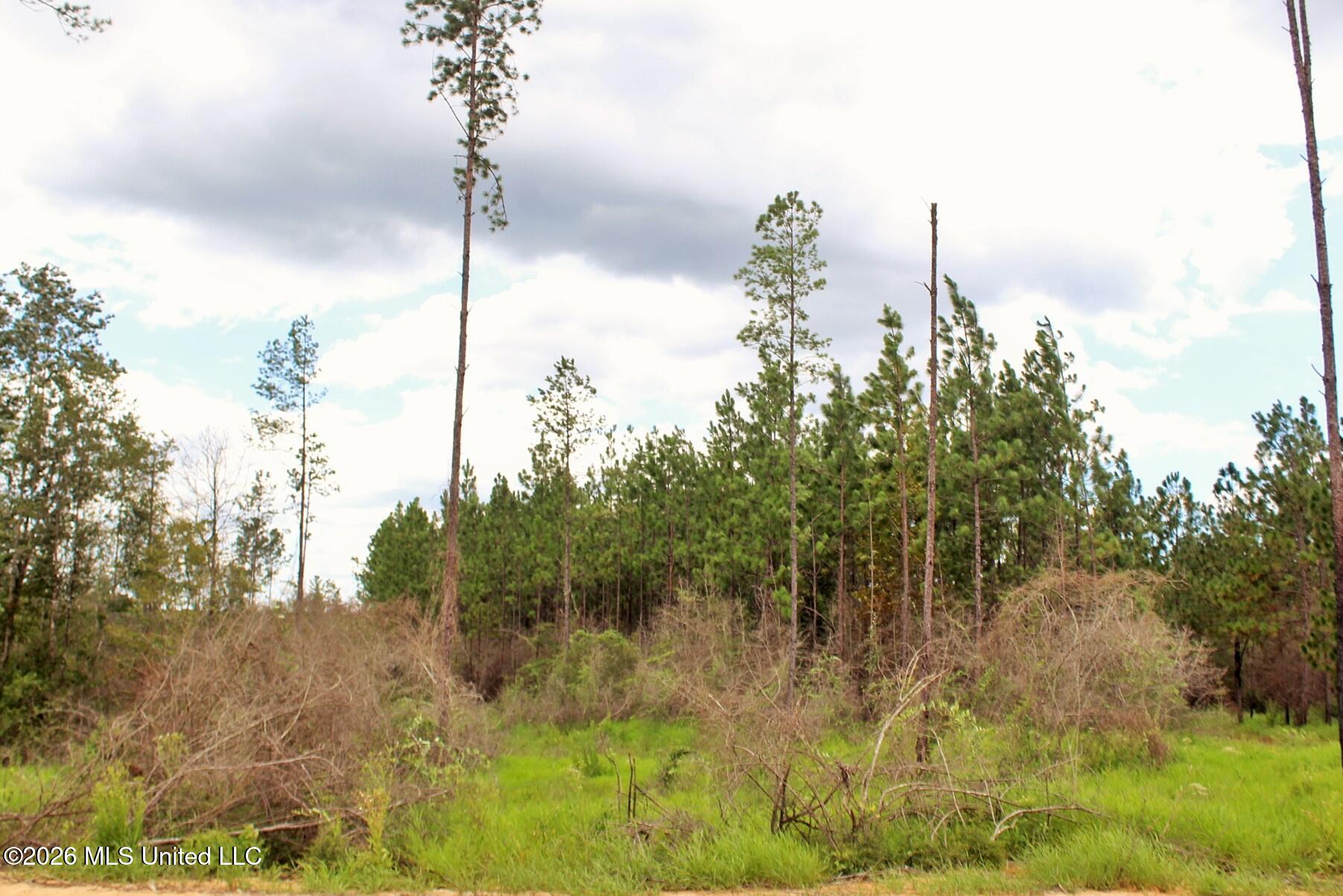 8.83ac Little Cedar Road Property Photo 3