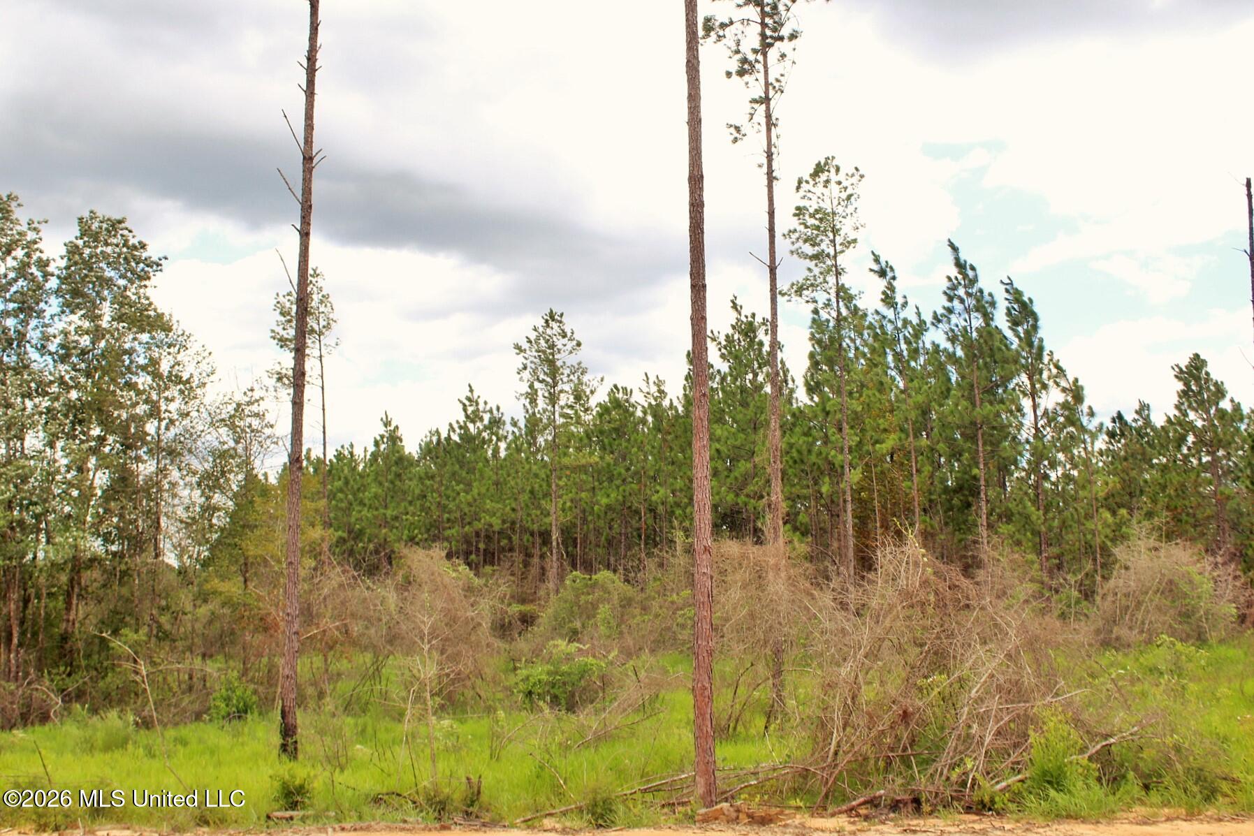 8.83ac Little Cedar Road Property Photo 4
