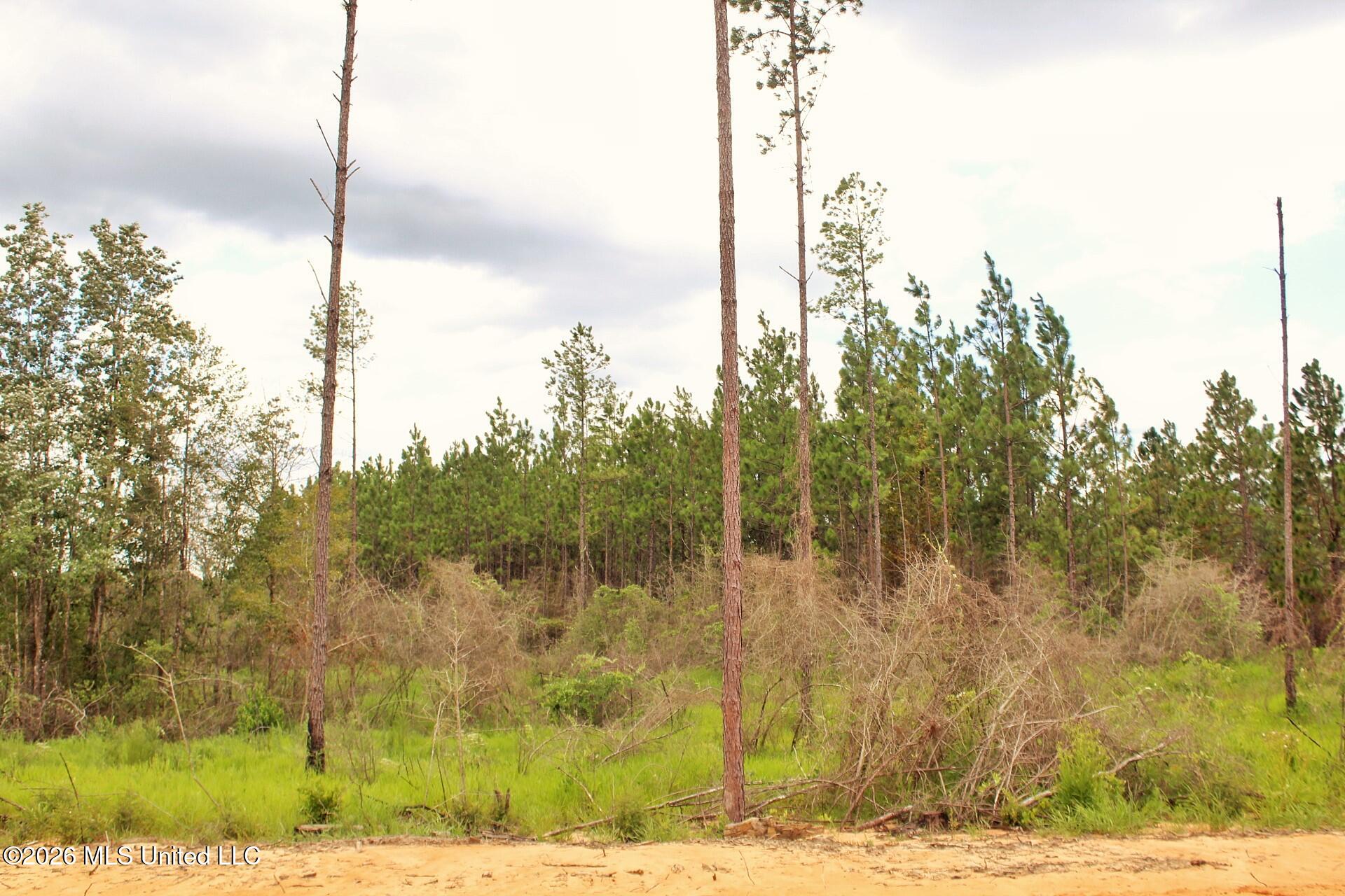 8.83ac Little Cedar Road Property Photo 5