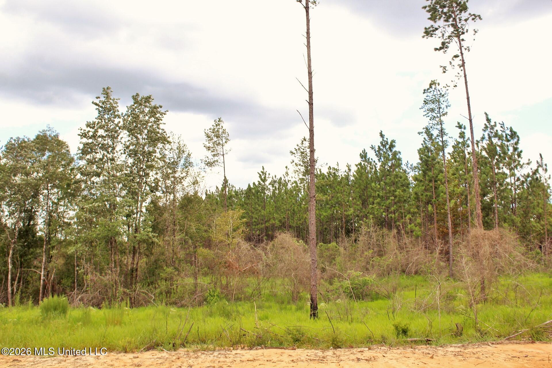 8.83ac Little Cedar Road Property Photo 6