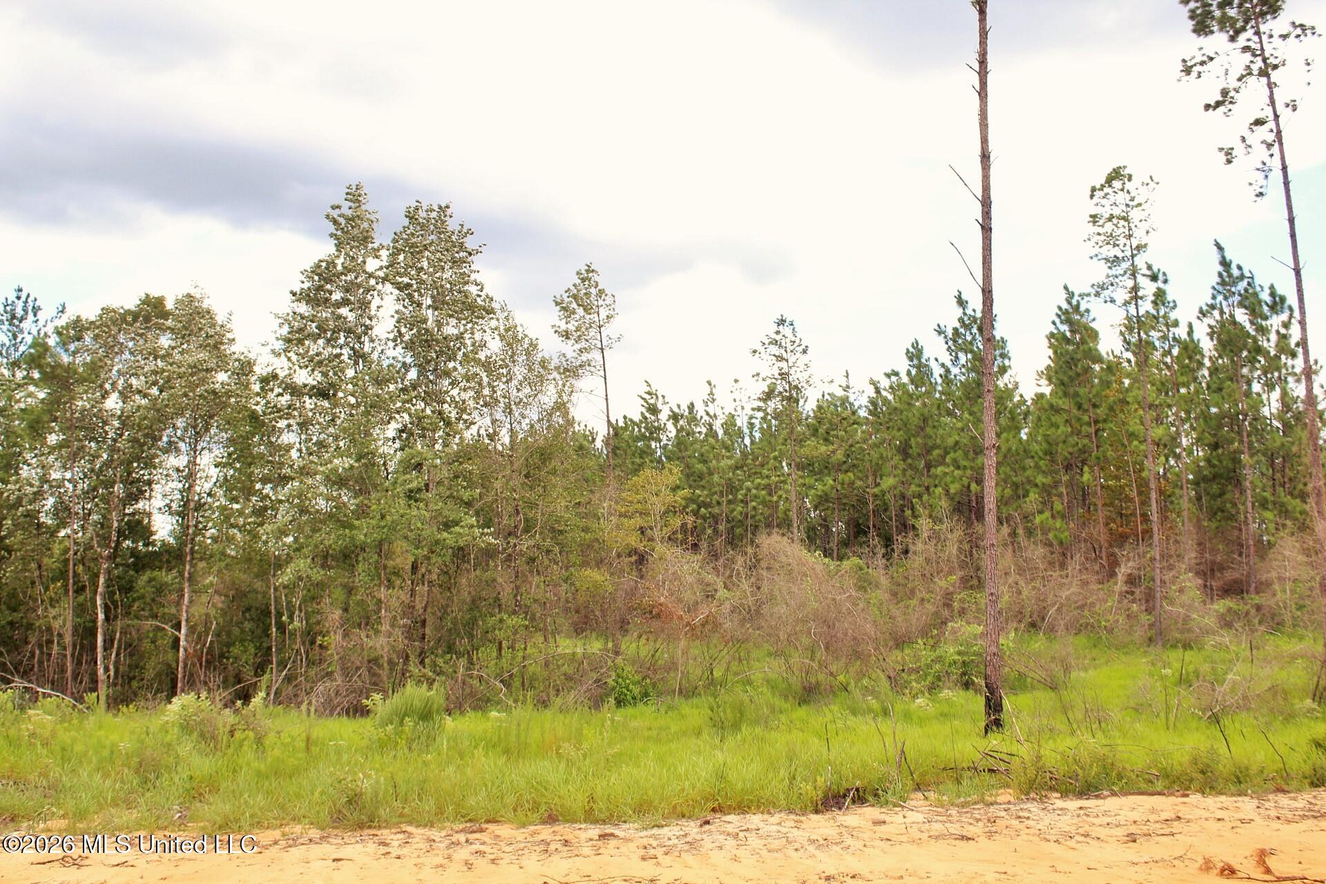 8.83ac Little Cedar Road Property Photo 7