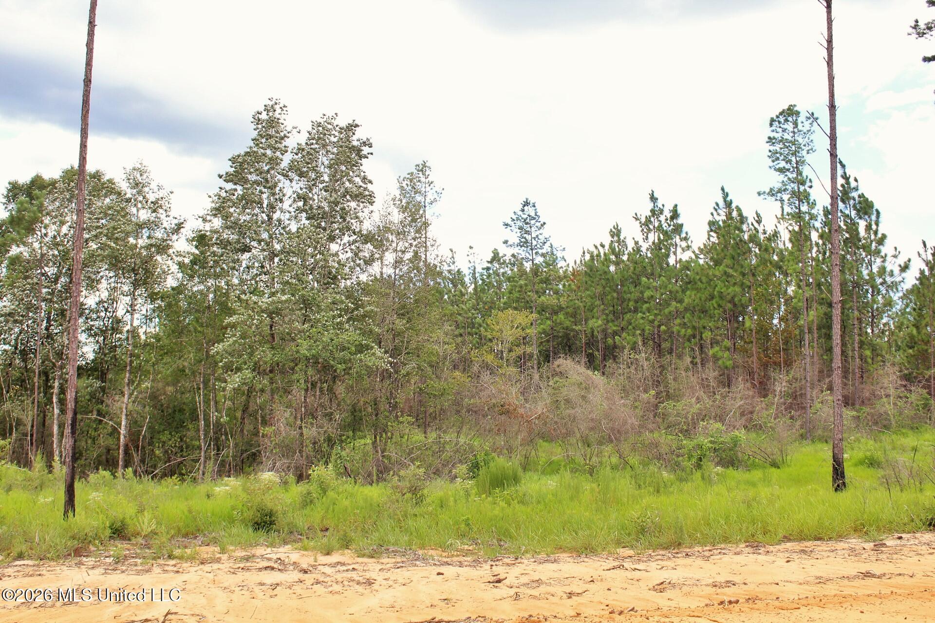 8.83ac Little Cedar Road Property Photo 8