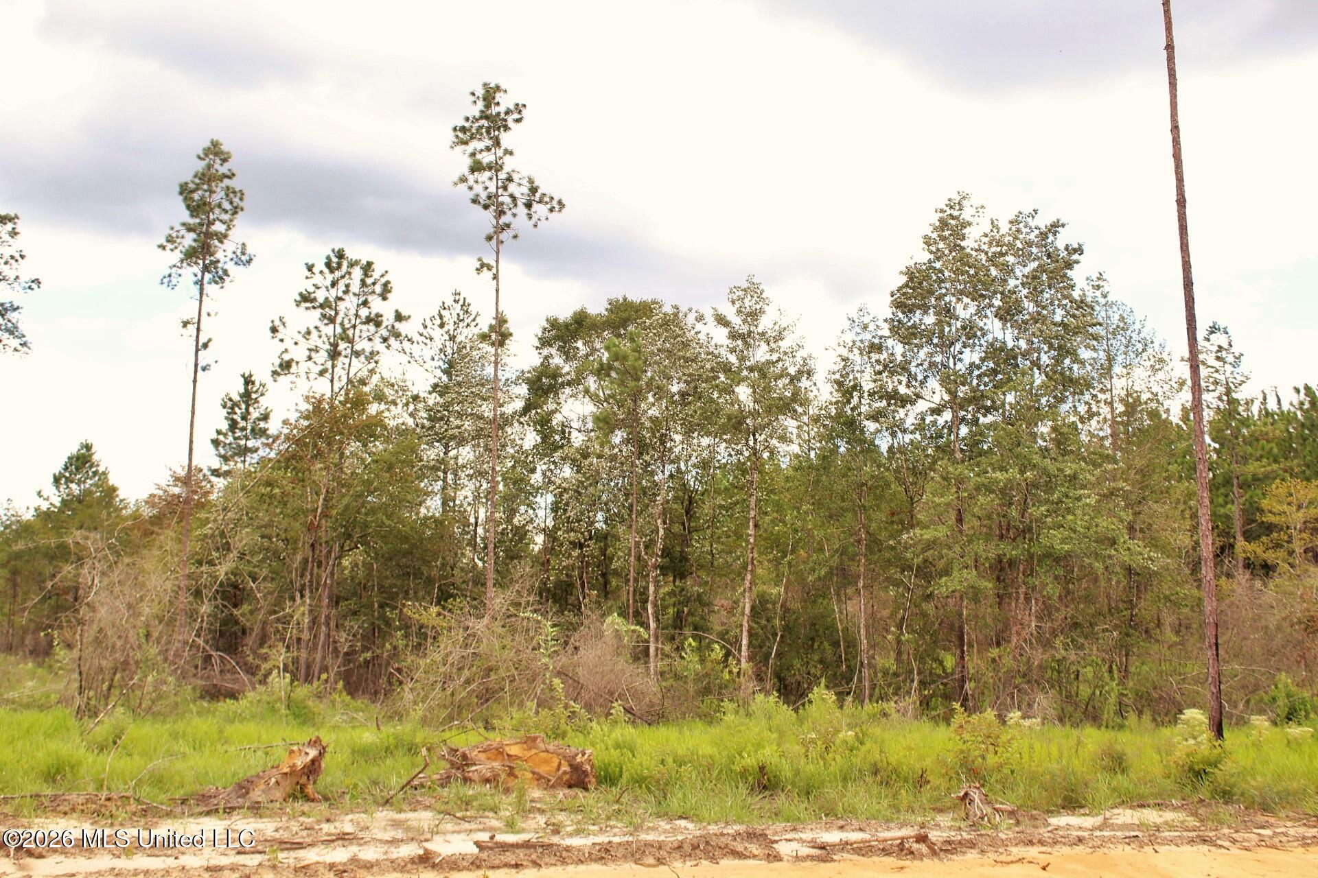 8.83ac Little Cedar Road Property Photo 9