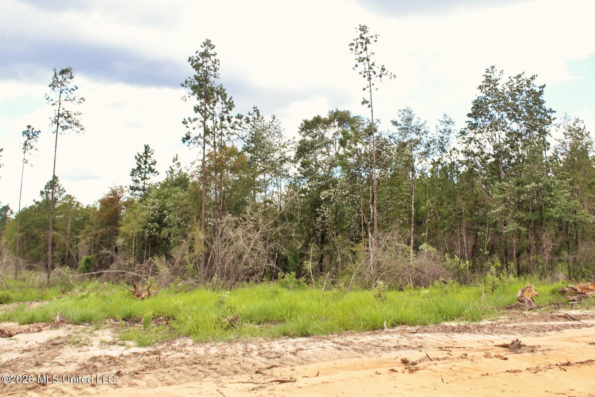8.83ac Little Cedar Road Property Photo 10