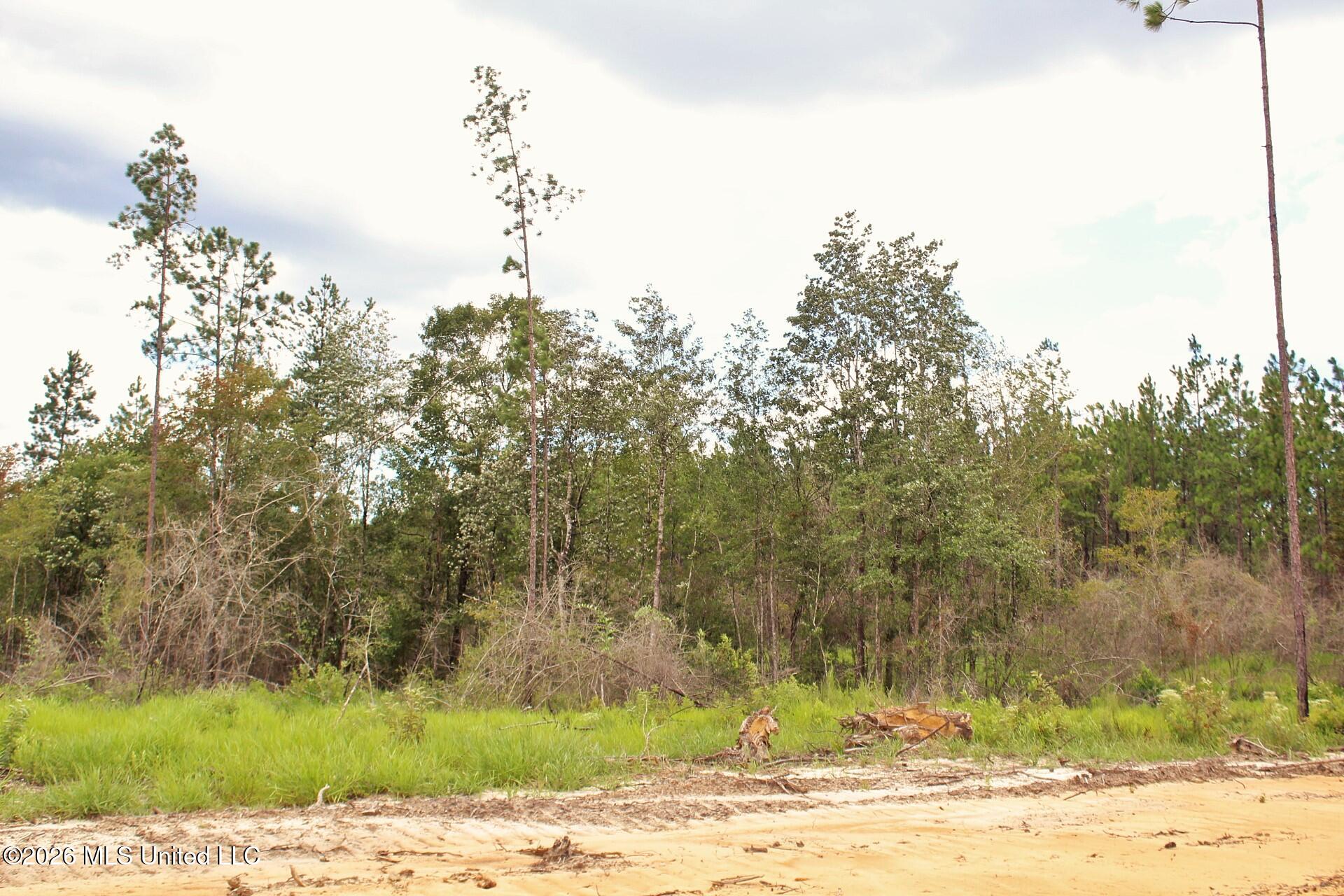 8.83ac Little Cedar Road Property Photo 11