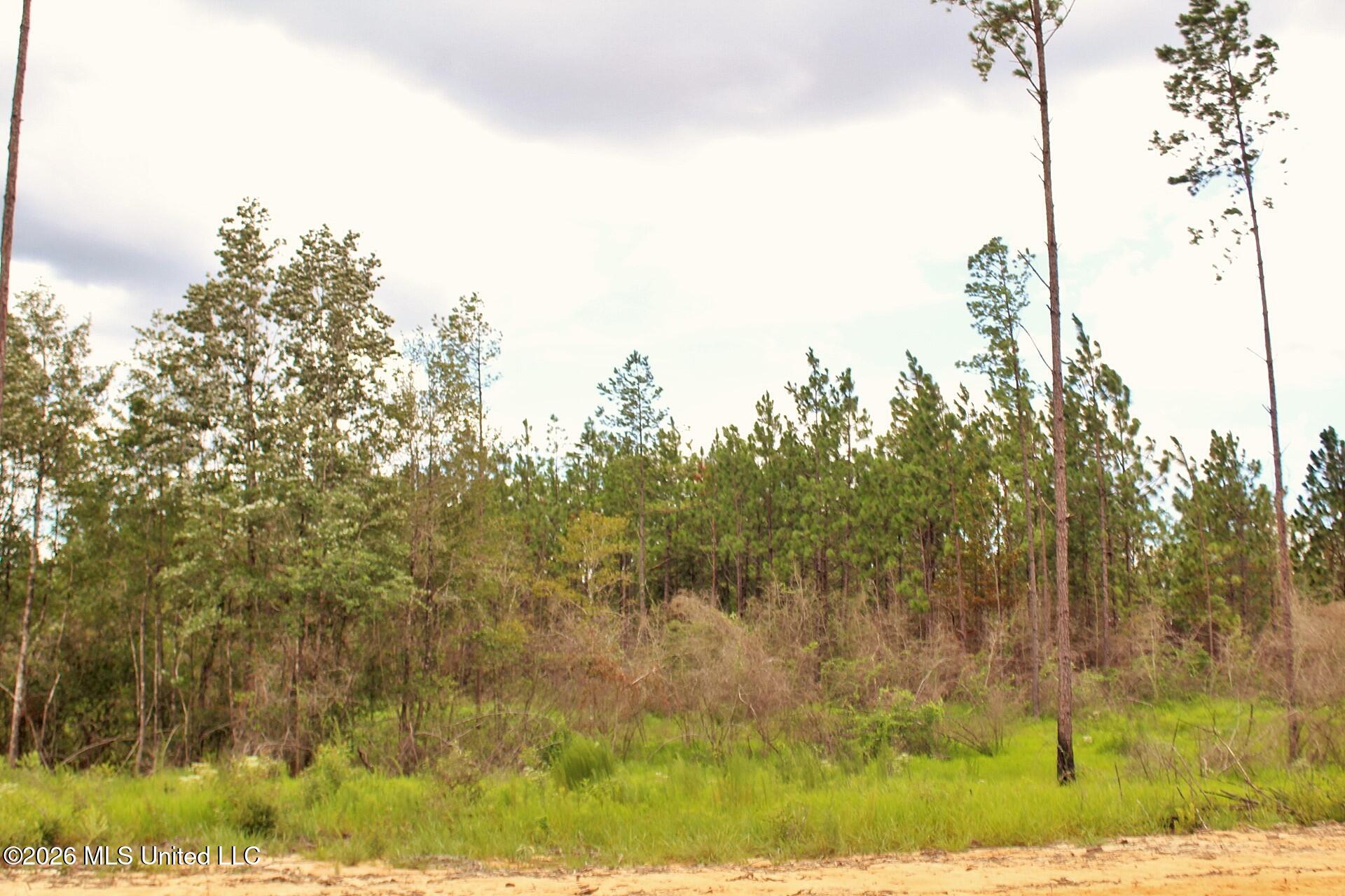 8.83ac Little Cedar Road Property Photo 12
