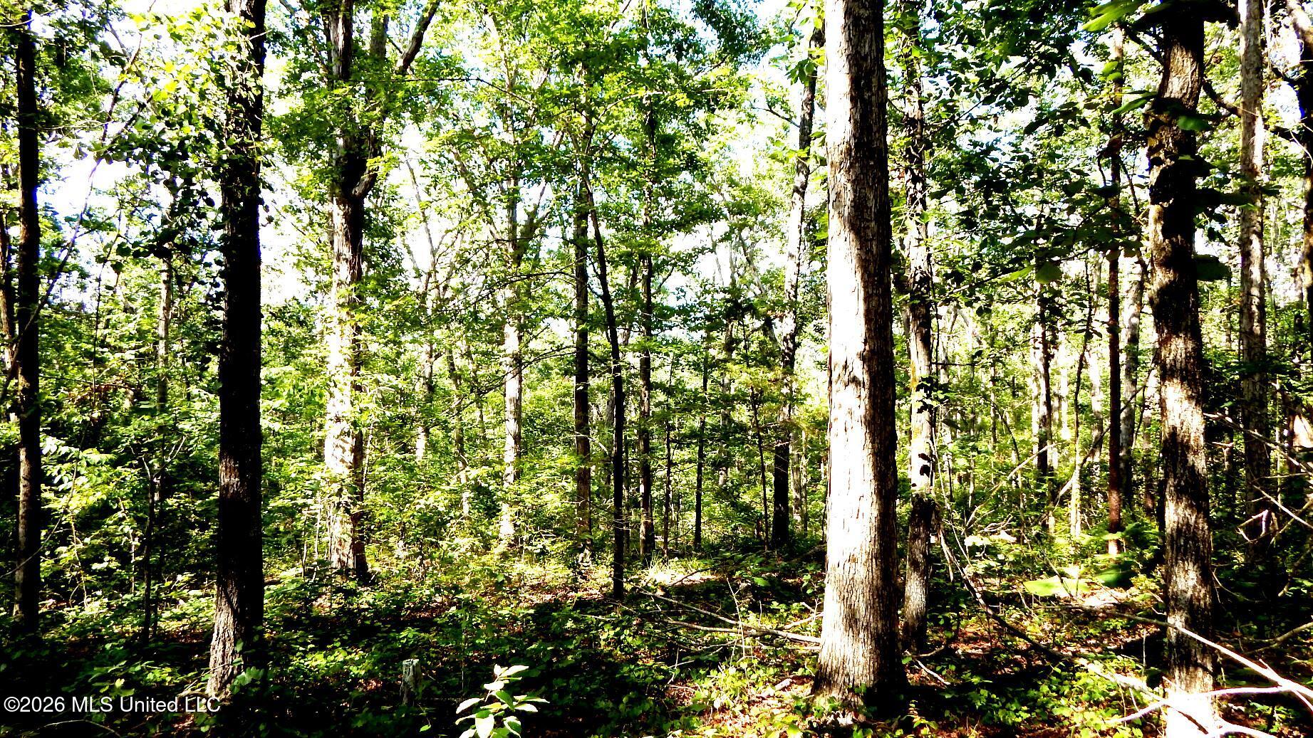 330 County Road 245 Property Photo 1